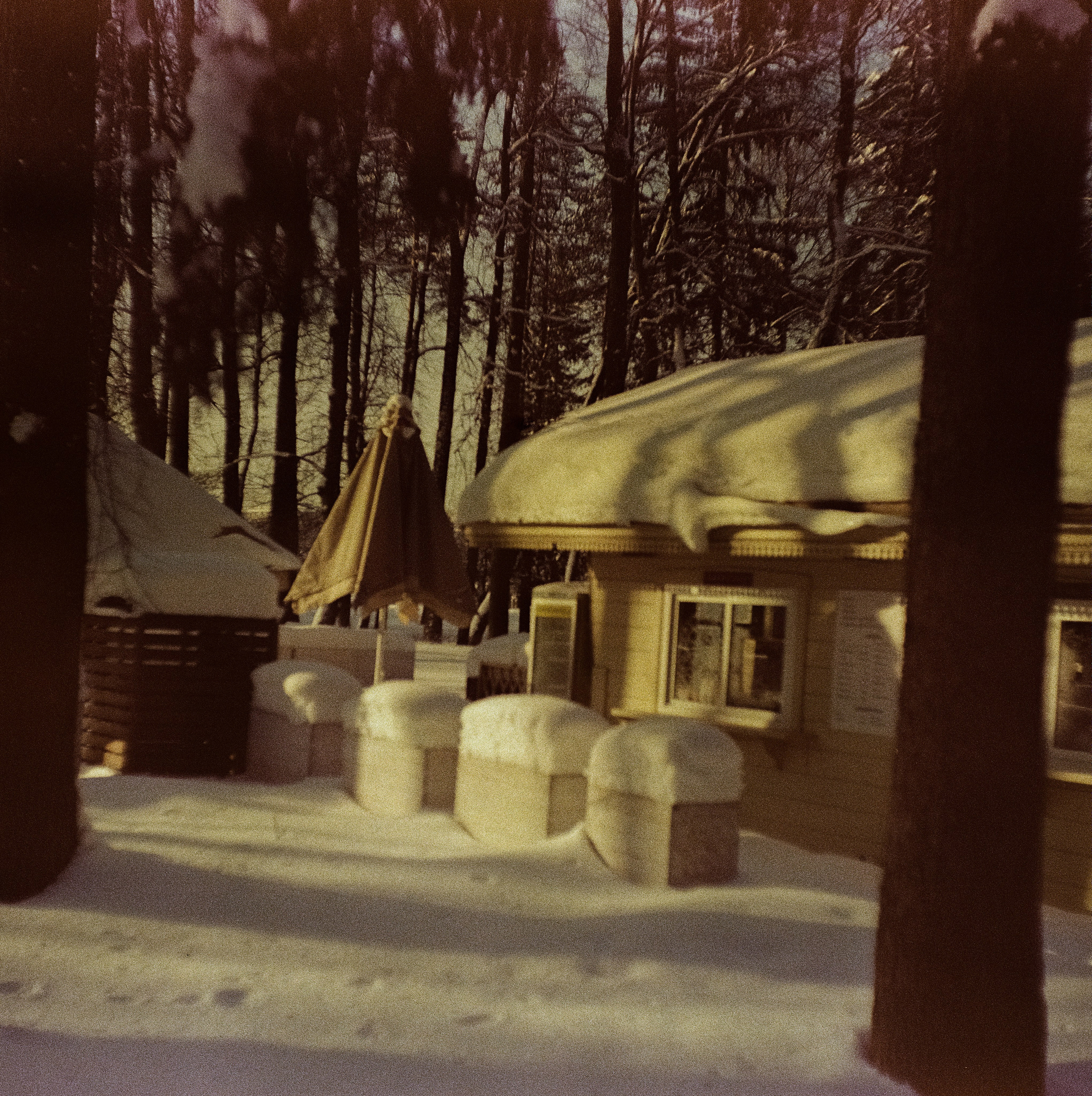 Kodak Ektachrome 64T / Franka Solida III / Архангельское, Лукино