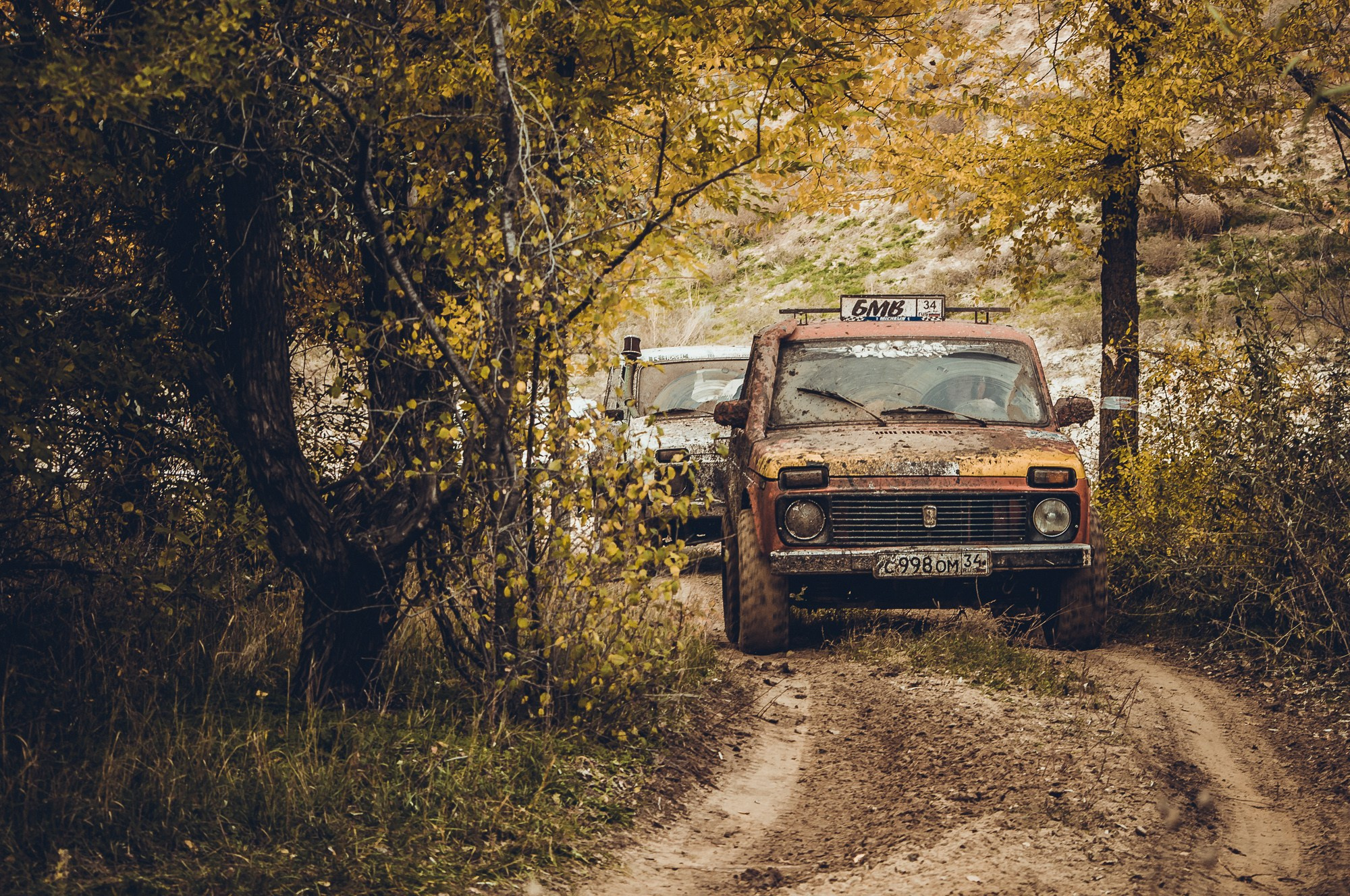 Нива в осеннем лесу