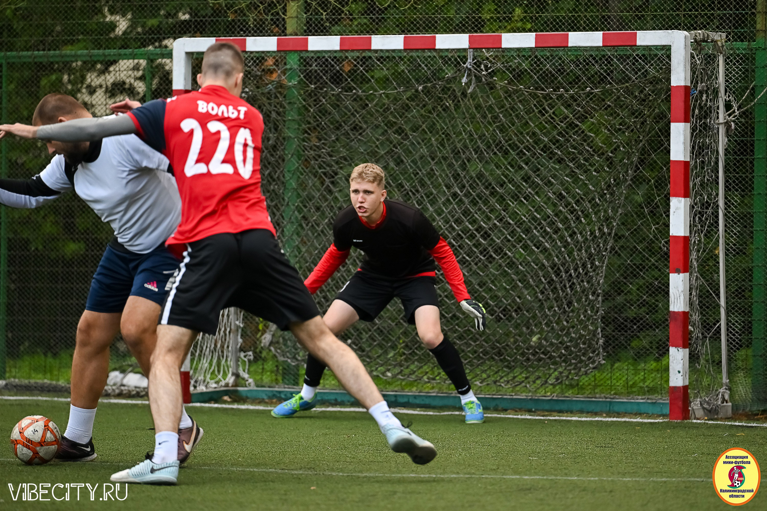 ИГРЫ МИНИ-ФУТБОЛЬНОЙ И КОРПОРАТИВНОЙ ЛИГИ. VIBECITY.RU Вайб Сити Ру Фоторепортажи Фотоотчеты Калининград