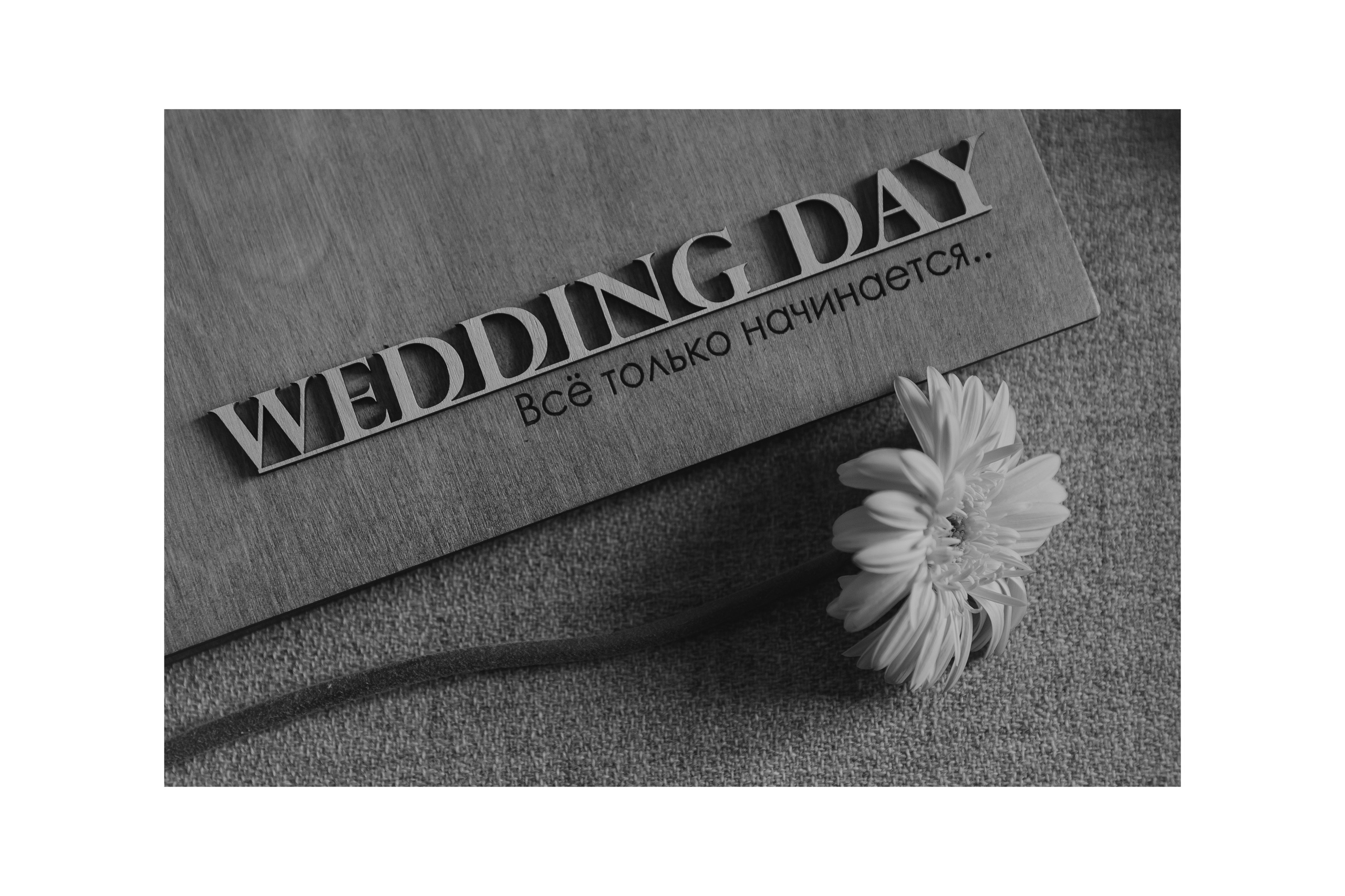 Полина | Тамерлан