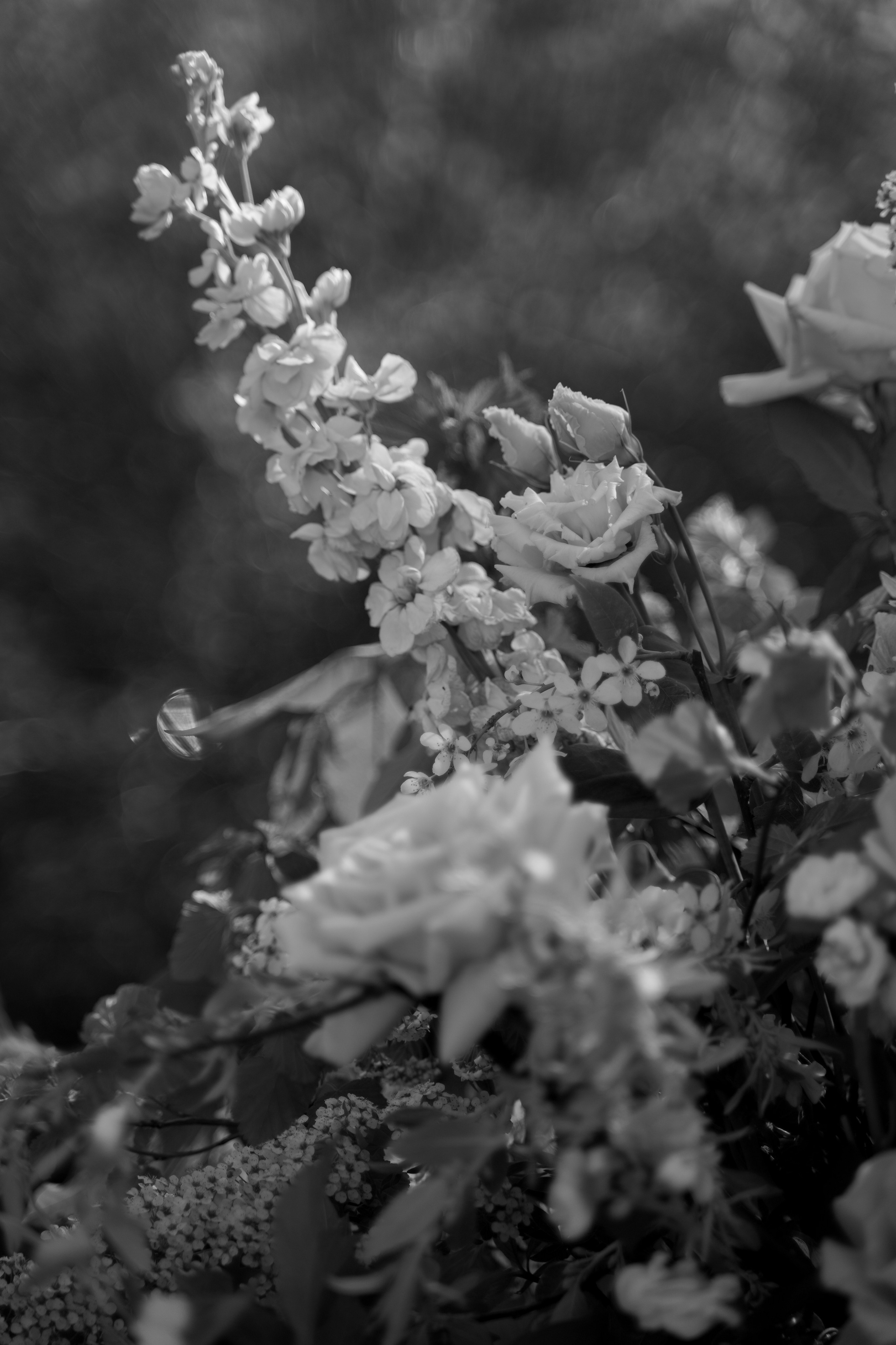 Ольга и Даниил. Свадебный фотограф Марина Попова