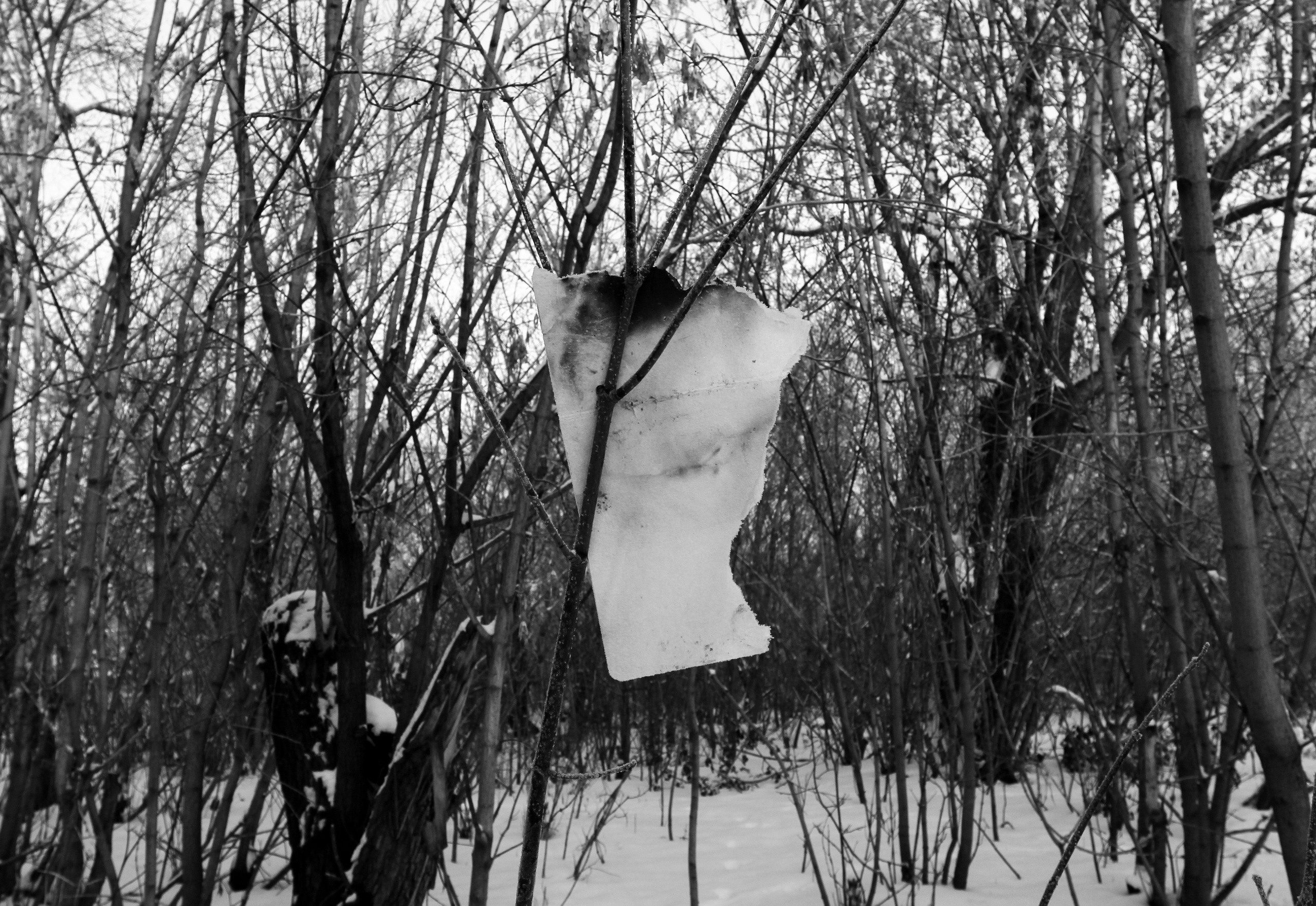 Снег и бетон. Alexey syrov / Visual artist