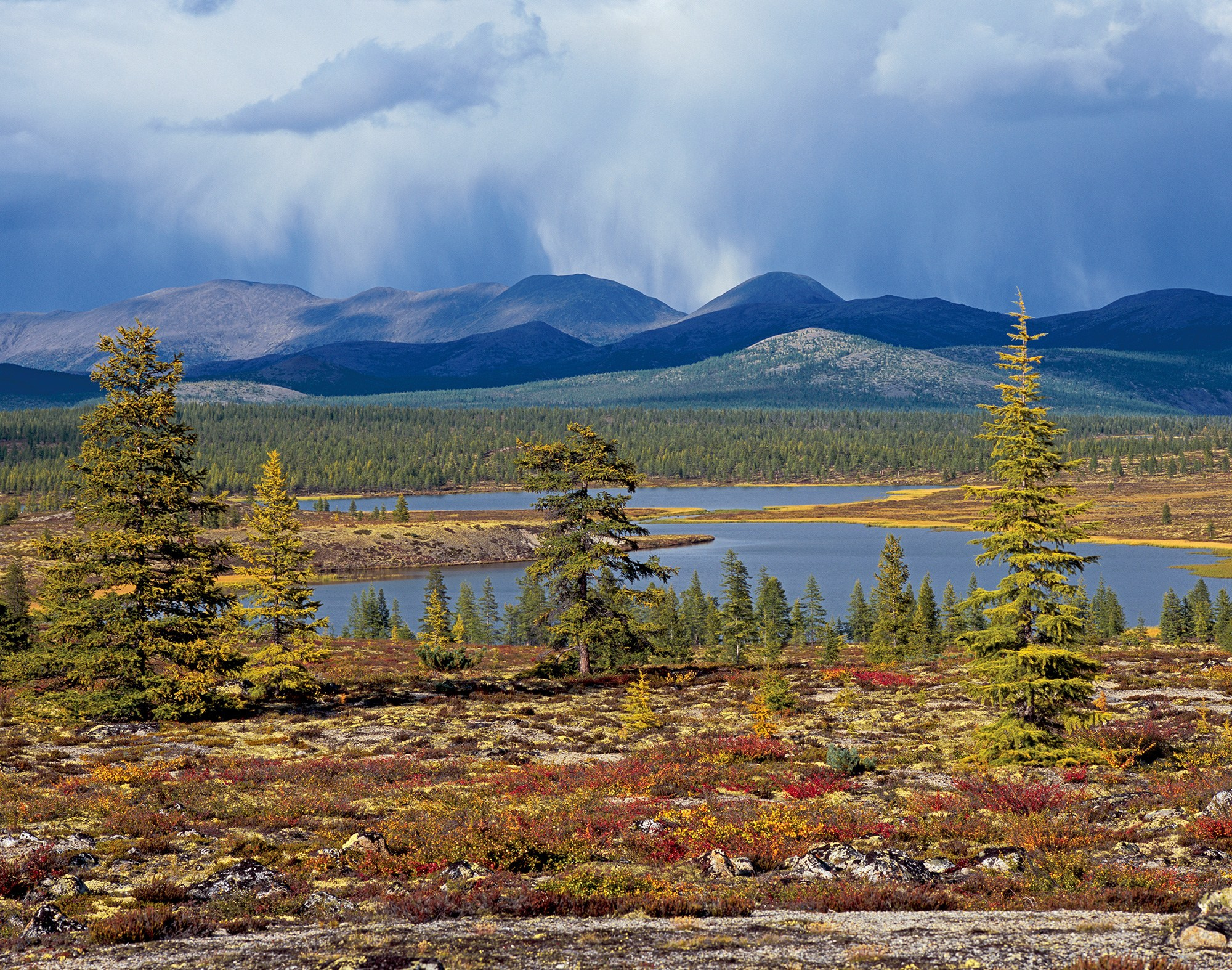 Окрестности озера Момонтай. 026М-41-01
