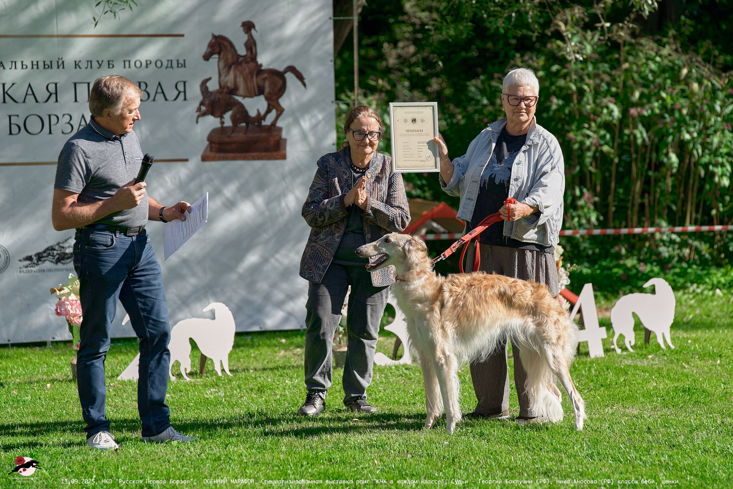 ОСЕННИЙ МАРАФОН | Специализированная выставка породы Русская Псовая Борзая ранг "КЧК в каждом классе"