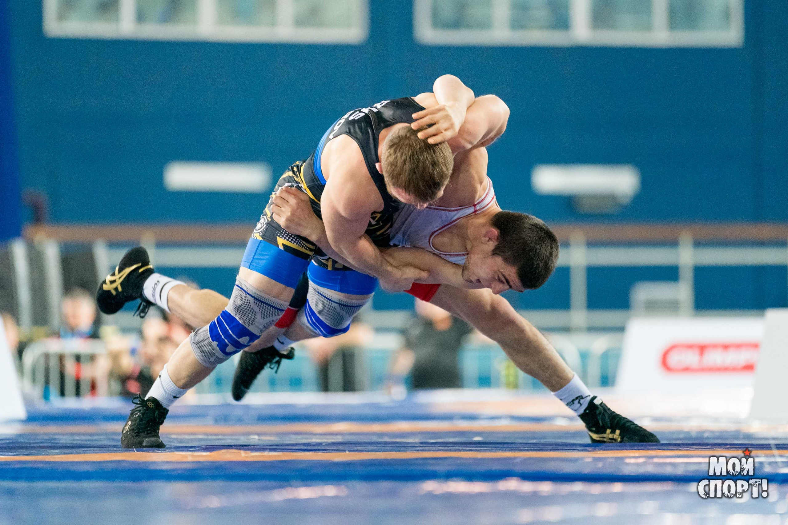 Международный турнир по вольной борьбе среди юниоров памяти олимпийского чемпиона Романа Дмитриева. Студия «Мой Спорт!» — все о спорте в Якутии