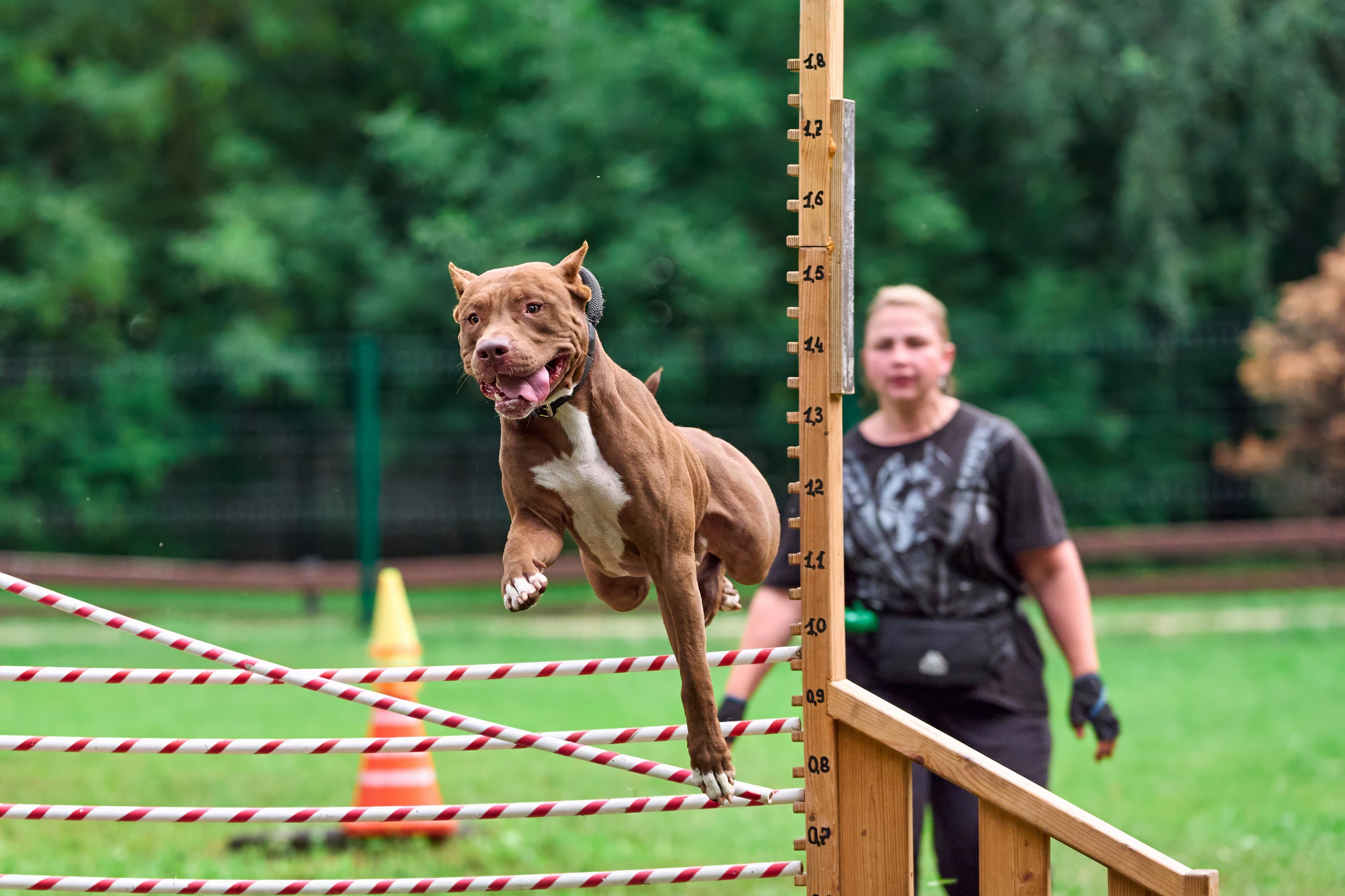 Jump'n'Gym JUMP! — 2024. Фотограф-анималист Михаил Манухин