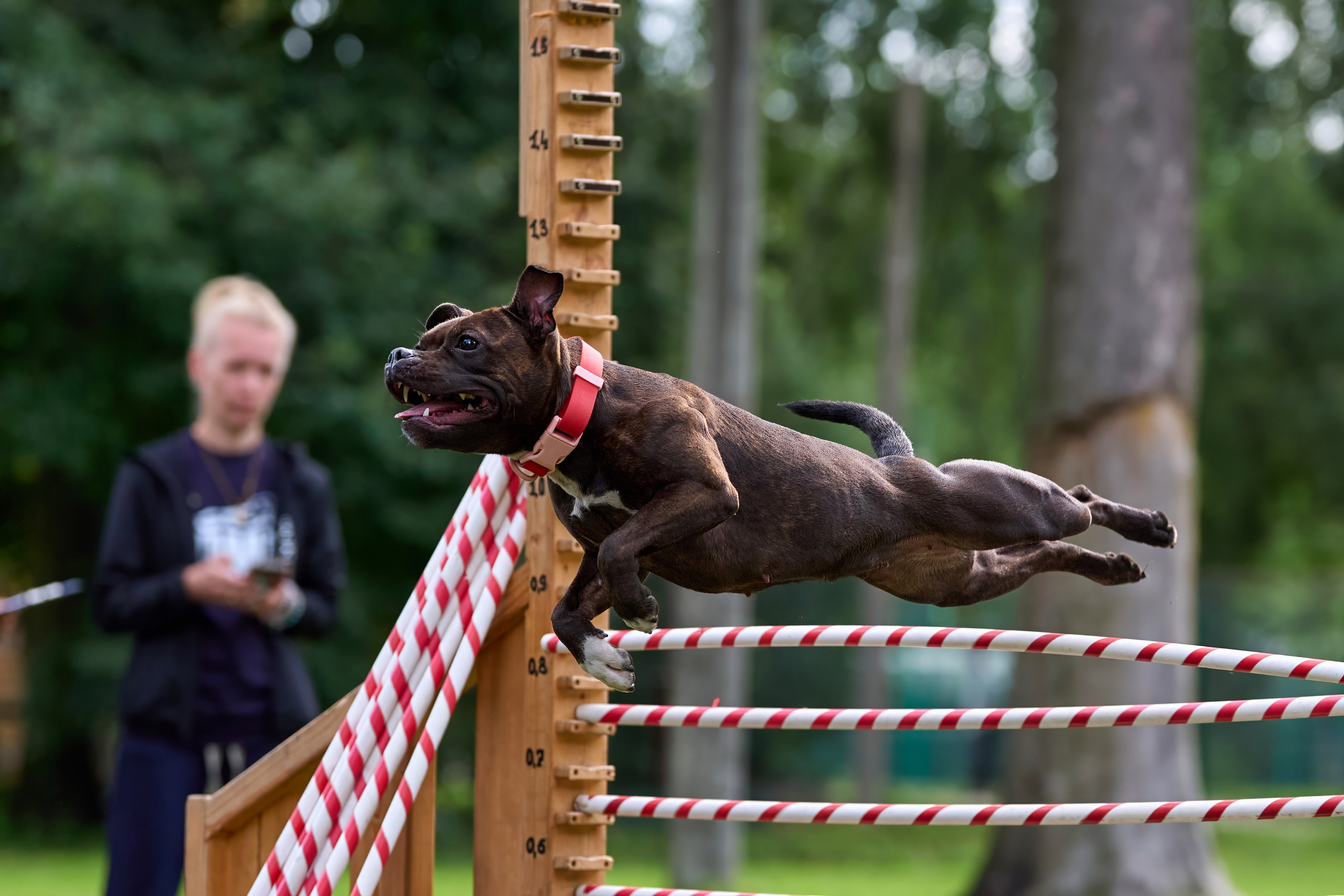 Jump'n'Gym JUMP! — 2024. Фотограф-анималист Михаил Манухин