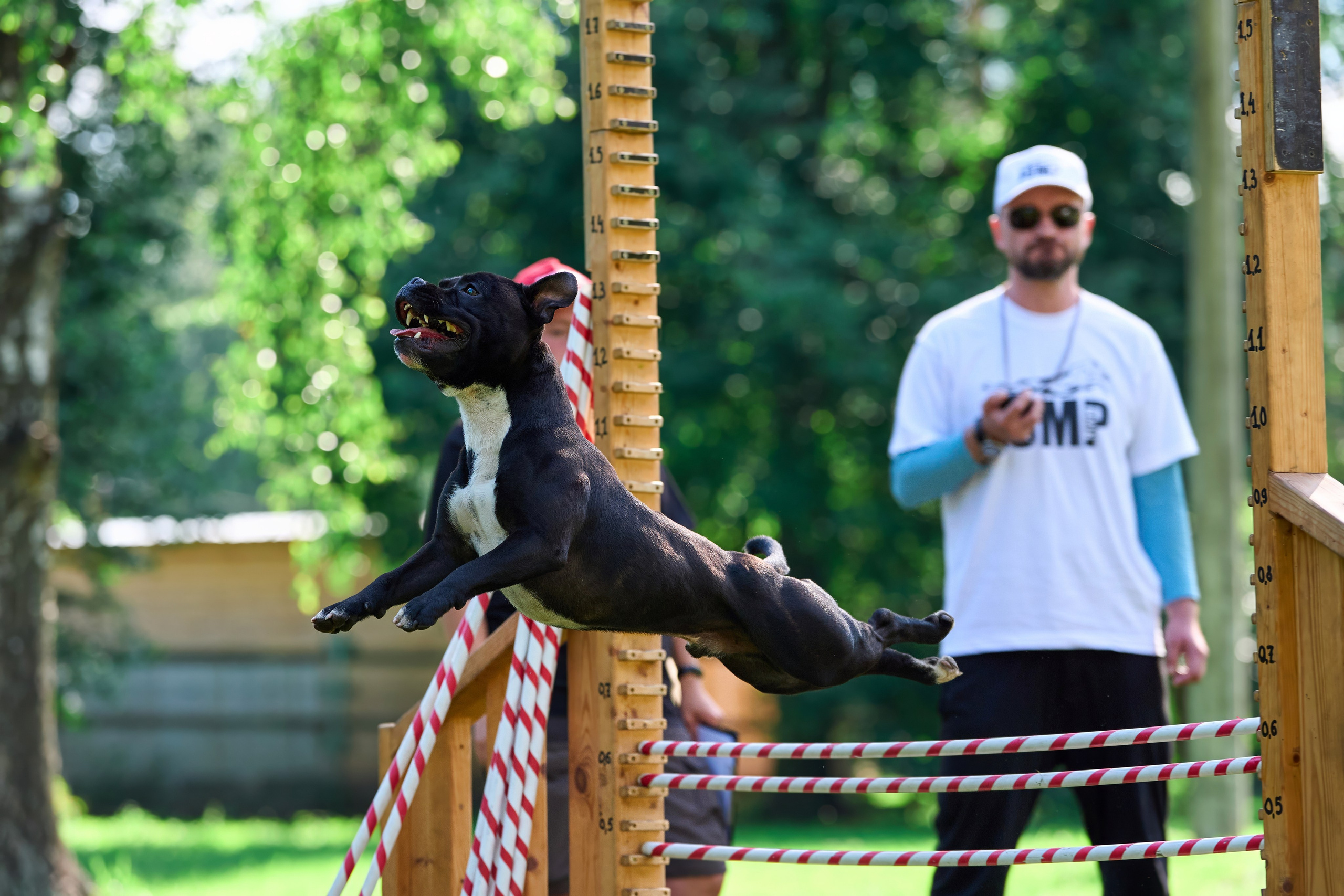 Двухдневные соревнования «Jump'n'Gym Fest — 2024». Фотограф-анималист Михаил Манухин