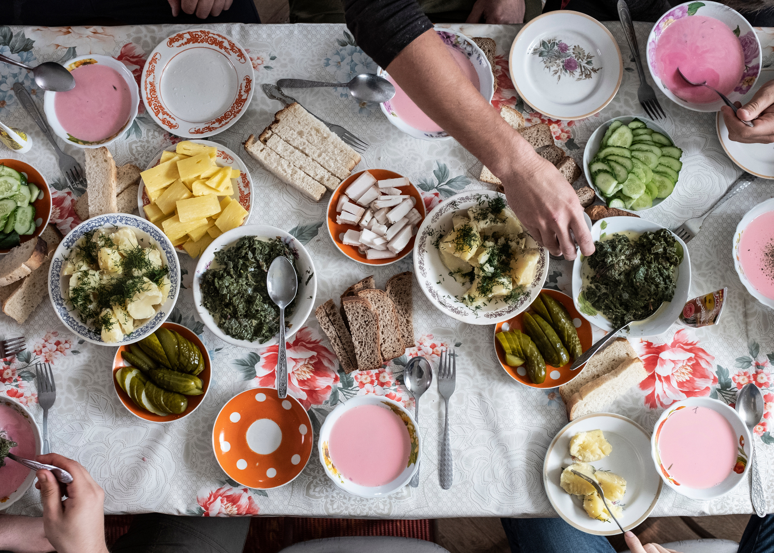The first foodie expedition with friends and partners — restaurateurs ODIN comp…. Елена Аносова — художница и исследовательница, куратор и лектор