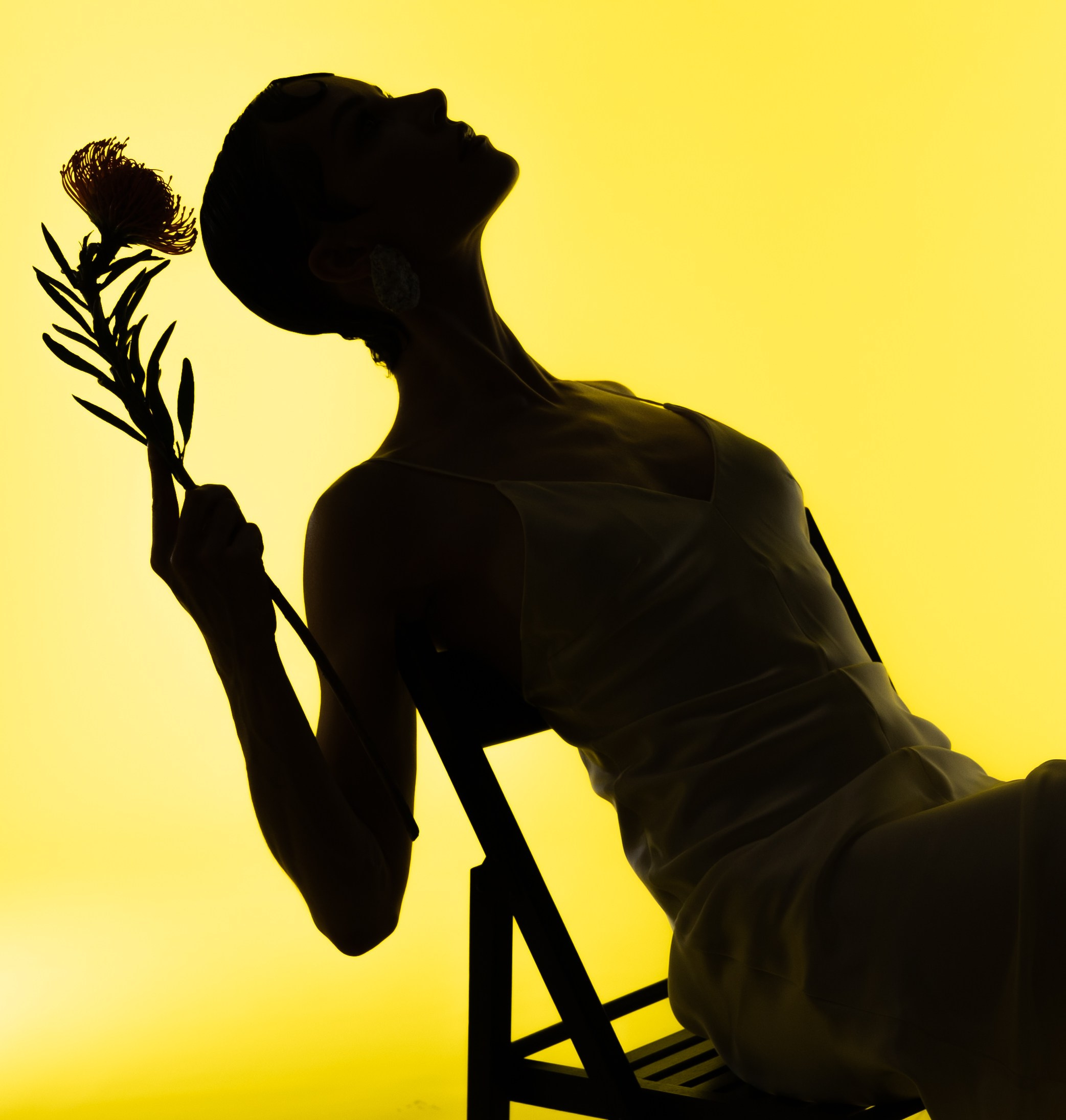 Блог. Студия фото, видеографии и мультимедийного дизайна в Москве Multi Frame Studio