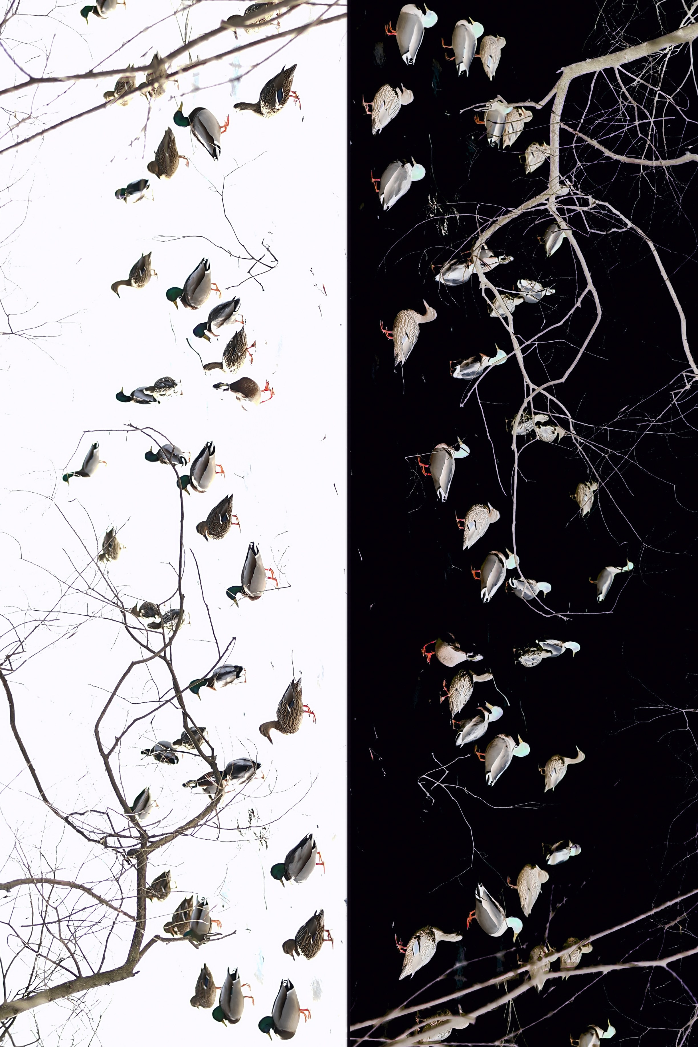 Ekaterinazolotykh.photo