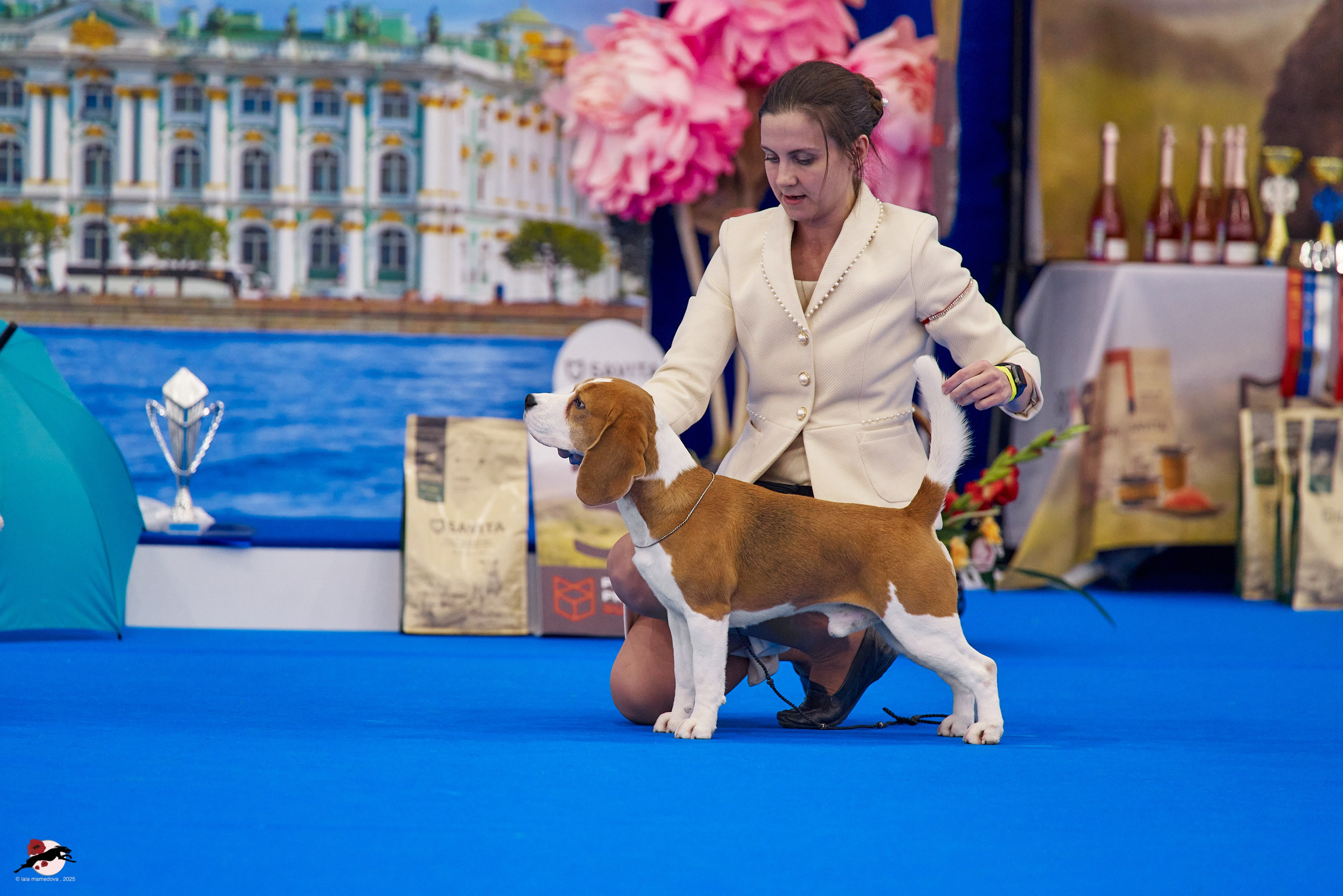 ГРАН ПРИ «ВЕСЕННИЙ ПЕТЕРБУРГ» & «СУПЕР КУБОК «ЭЛИТЫ»-2025»