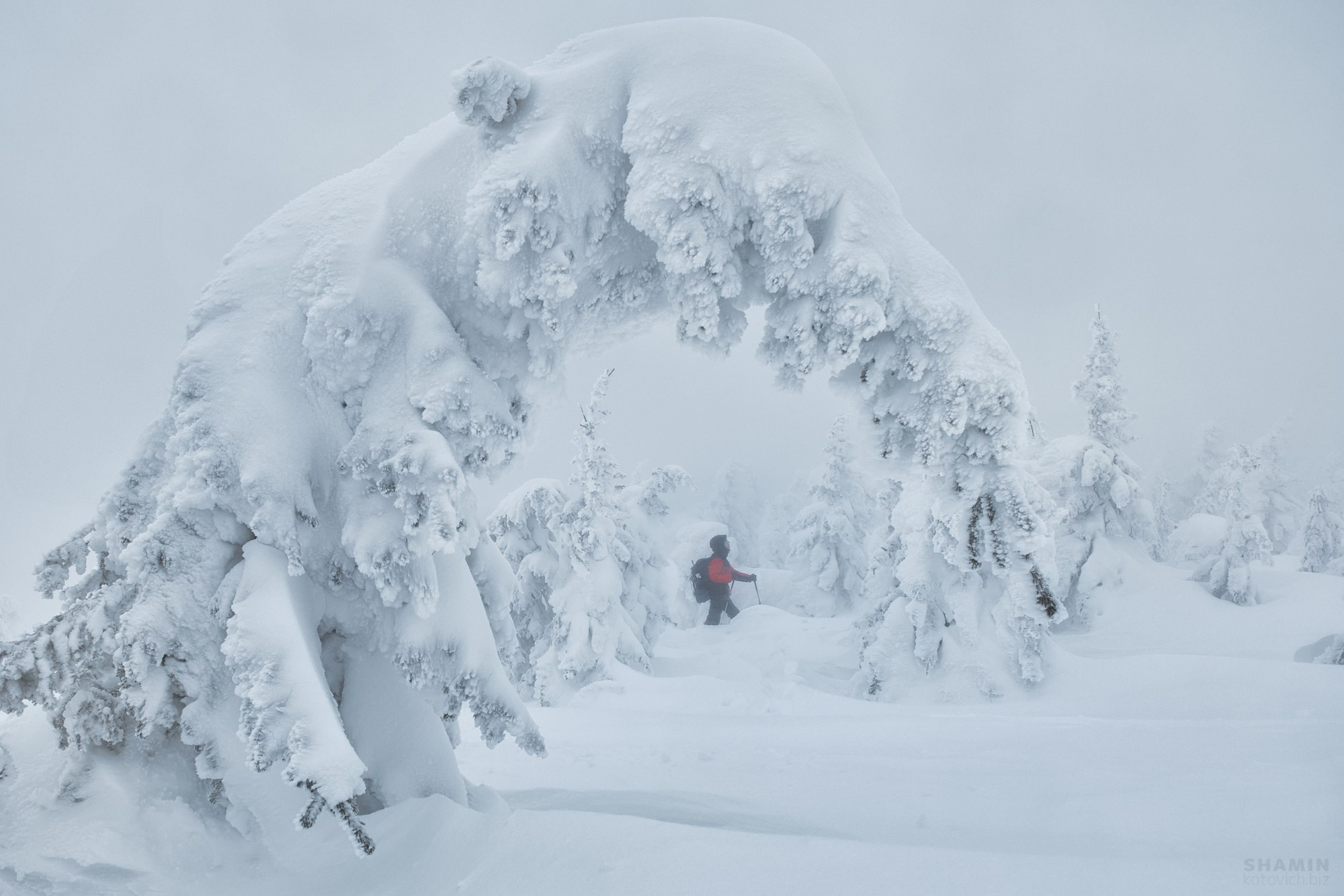 Проект 365. Фотограф Константин Шамин