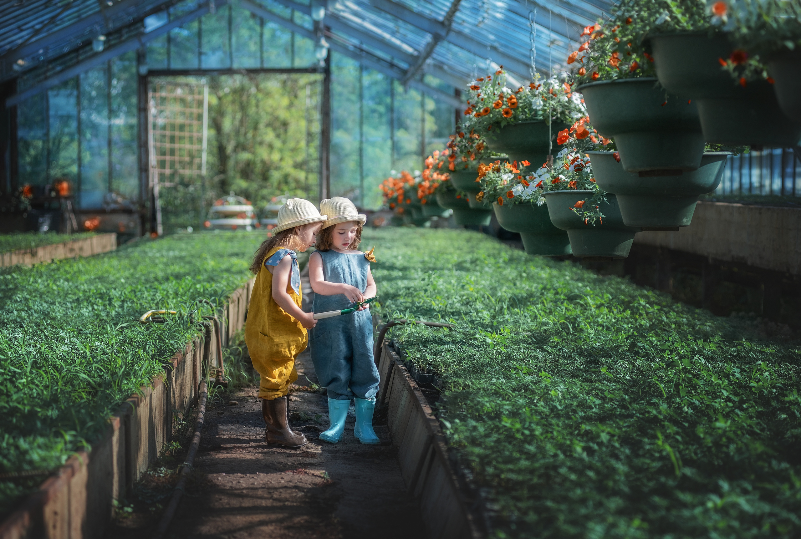 Печать фотографий