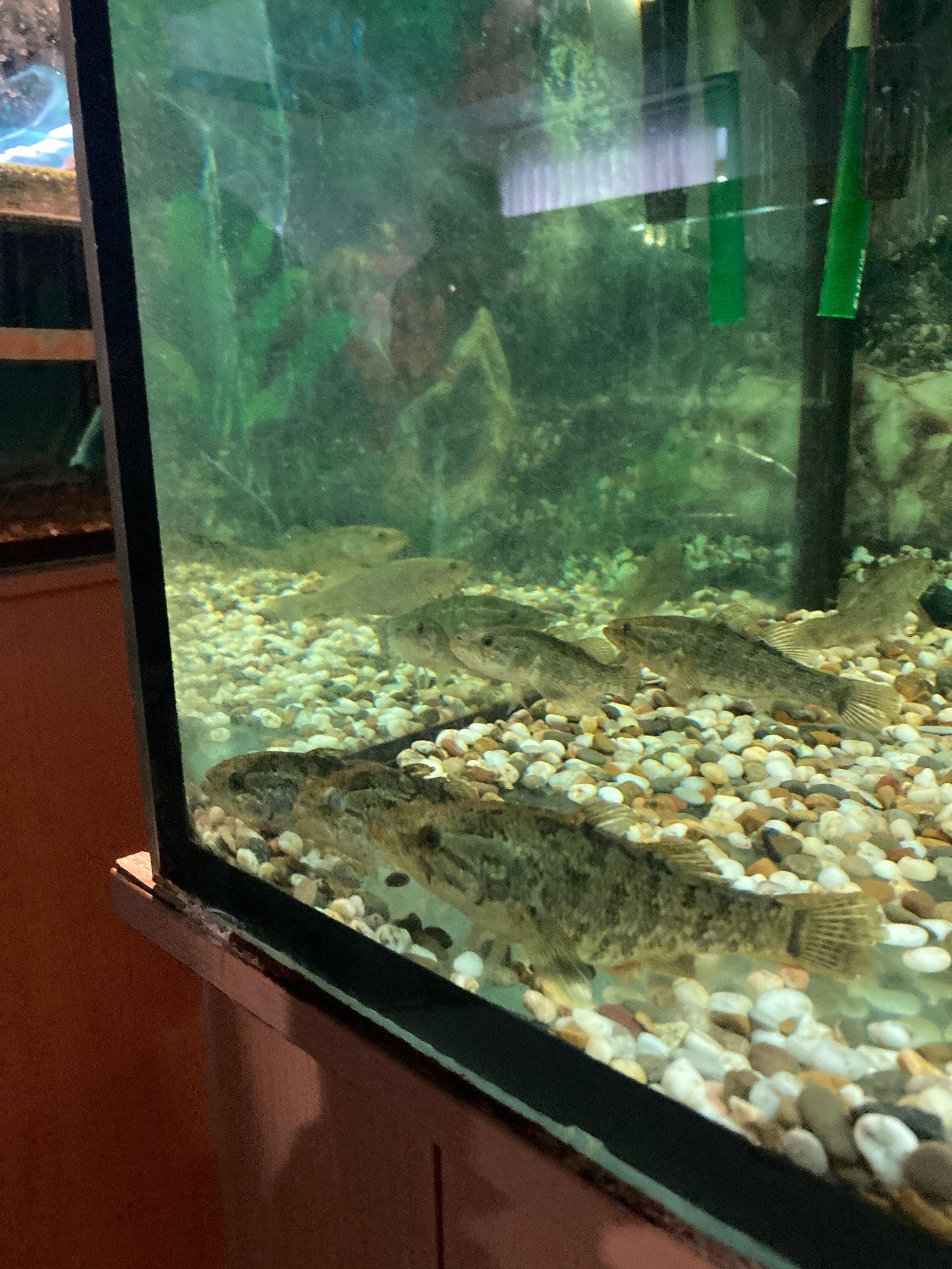 Идем на восток. Портретный фотограф Москва, репортаж и естественная постановка