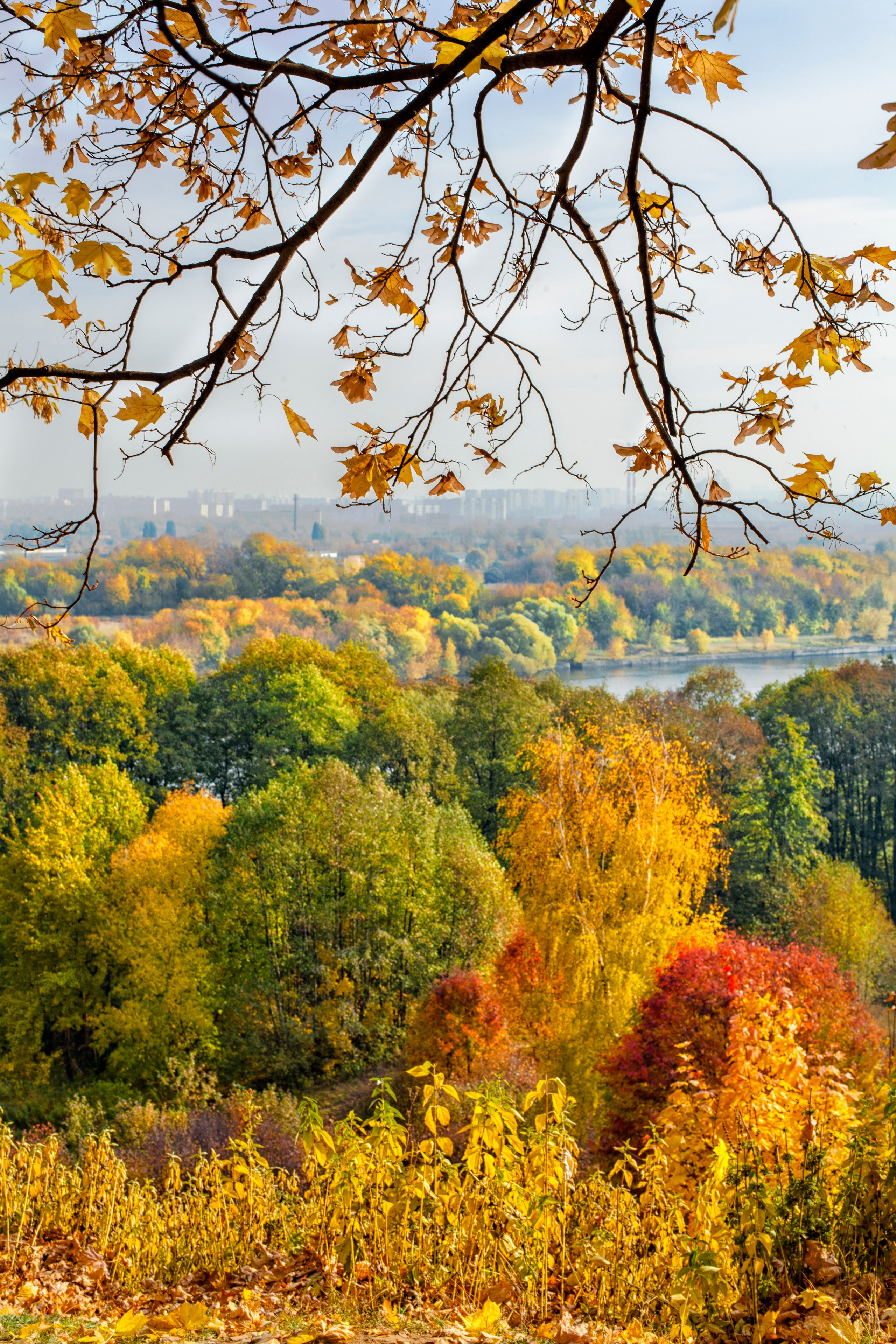 Осень. Свадьбы, портретная, предметная съемка. Фотограф Александр К