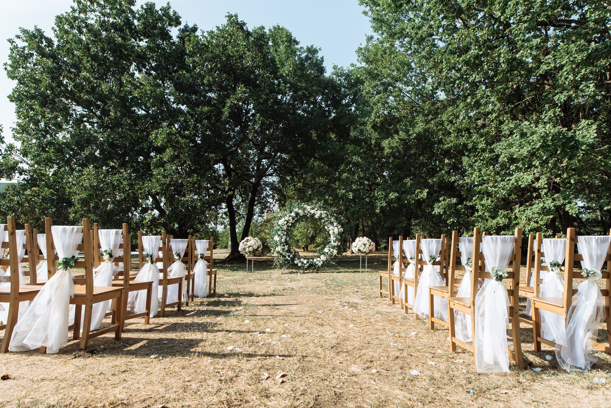 Свадьба Кати и Ромы (Волгоград). Свадебный и travel фотограф в Волгограде, Сочи, Домбае, Европе