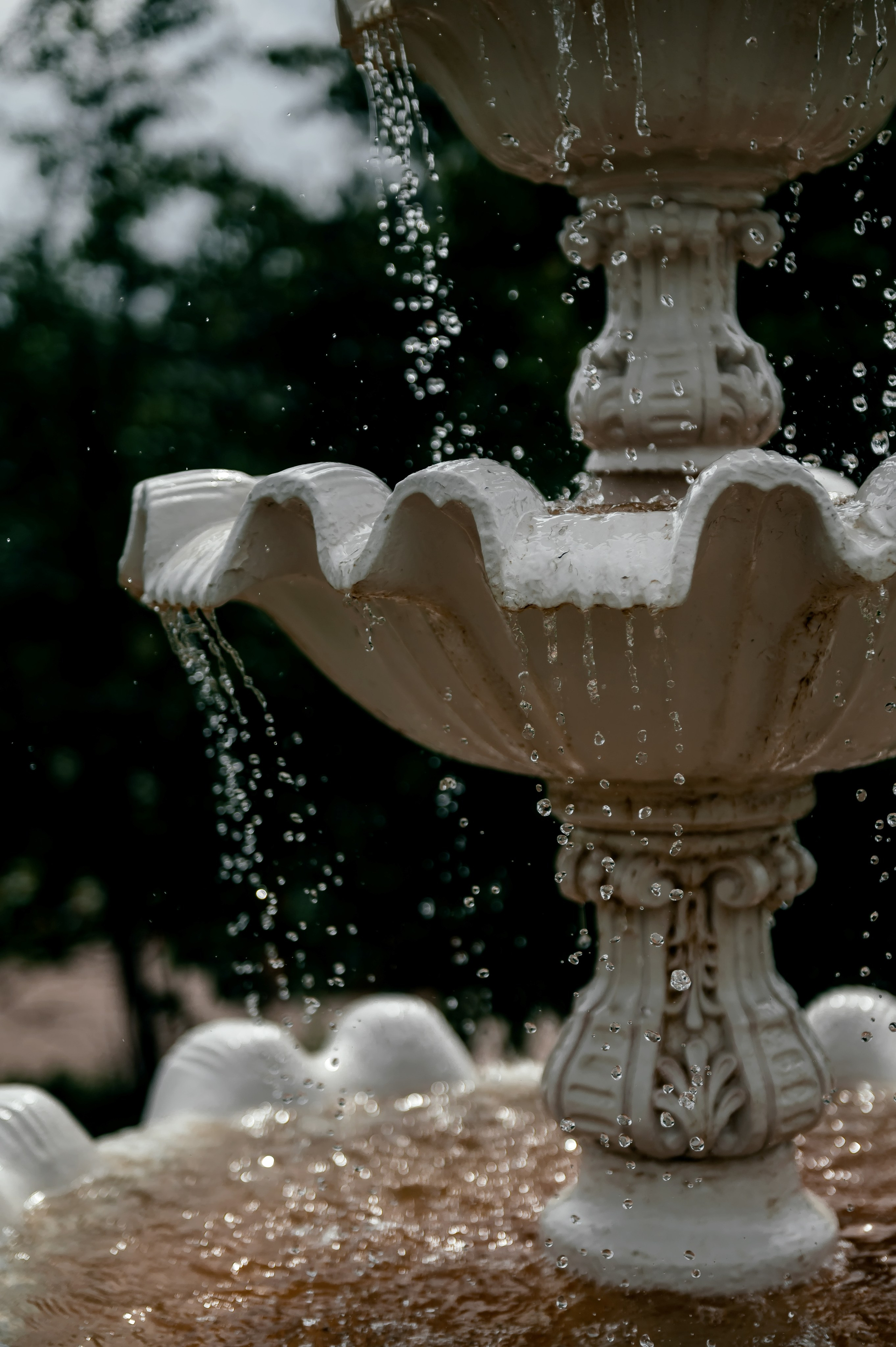 А как Вам такая идея?. Свадебный и семейный фотограф Виктория Носачёва. Щелково, Москва и МО