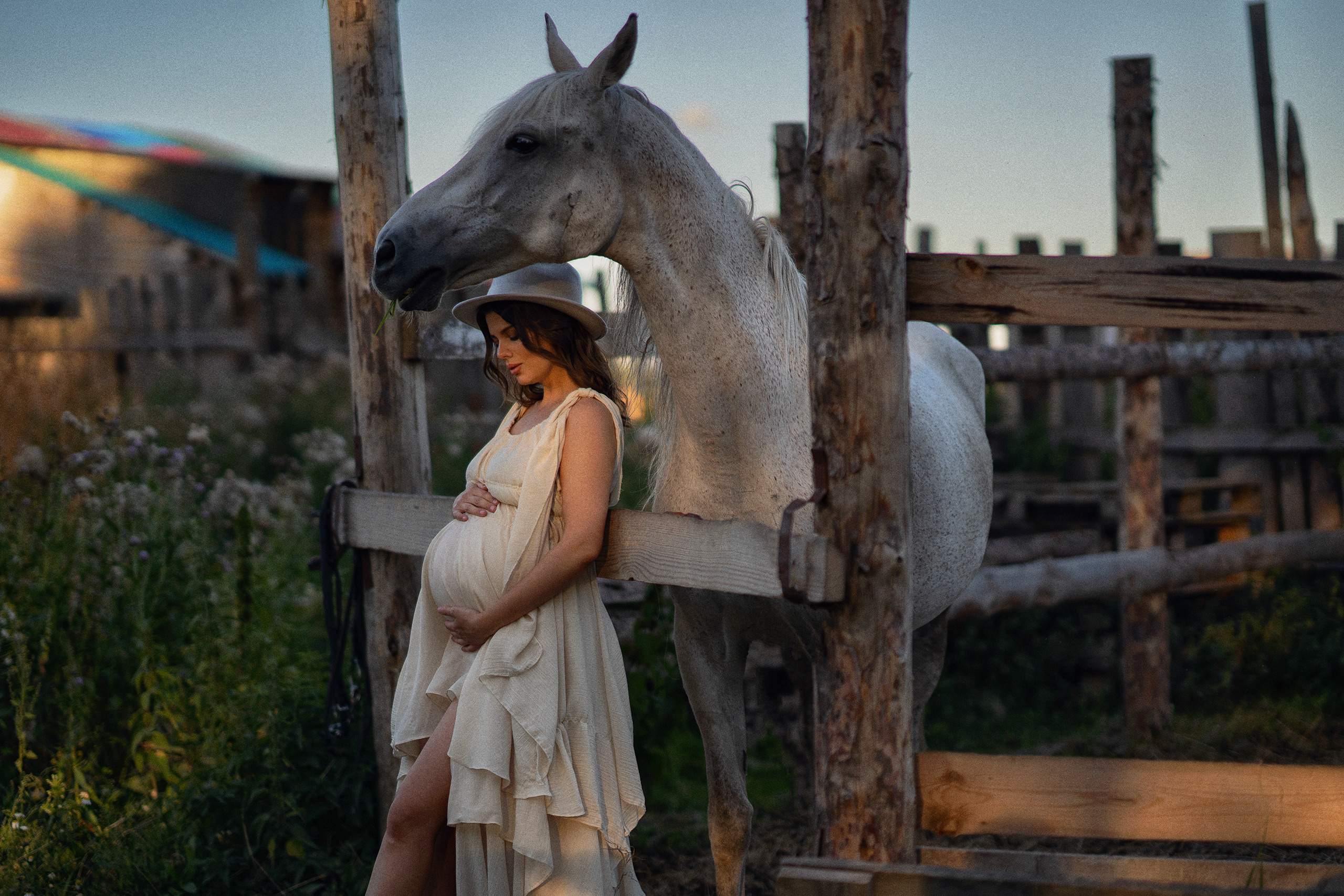 Фотосессия с лошадьми