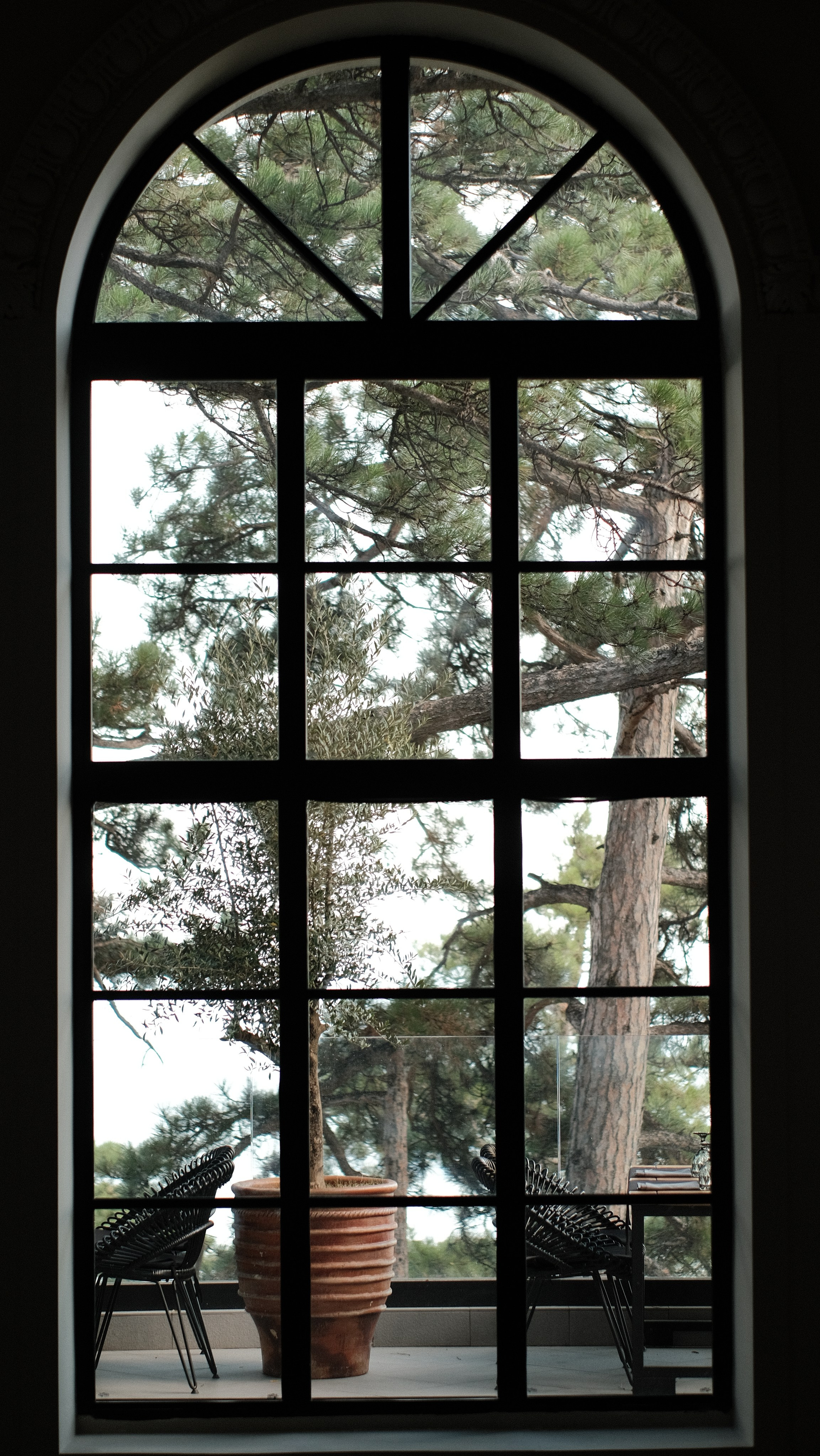 GAIGER PARADISE — Фоторай Гайгера | Фотограф МСК