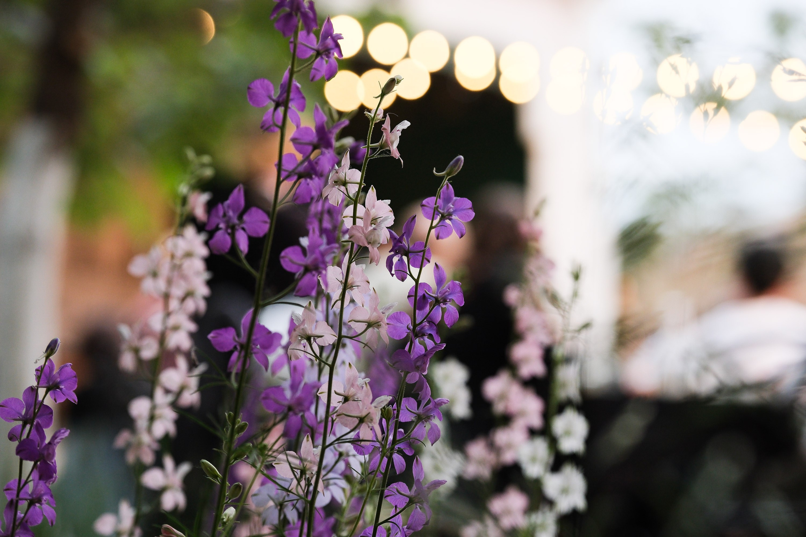 Кабаре «Велимир». Фотограф Анатолий Деникин