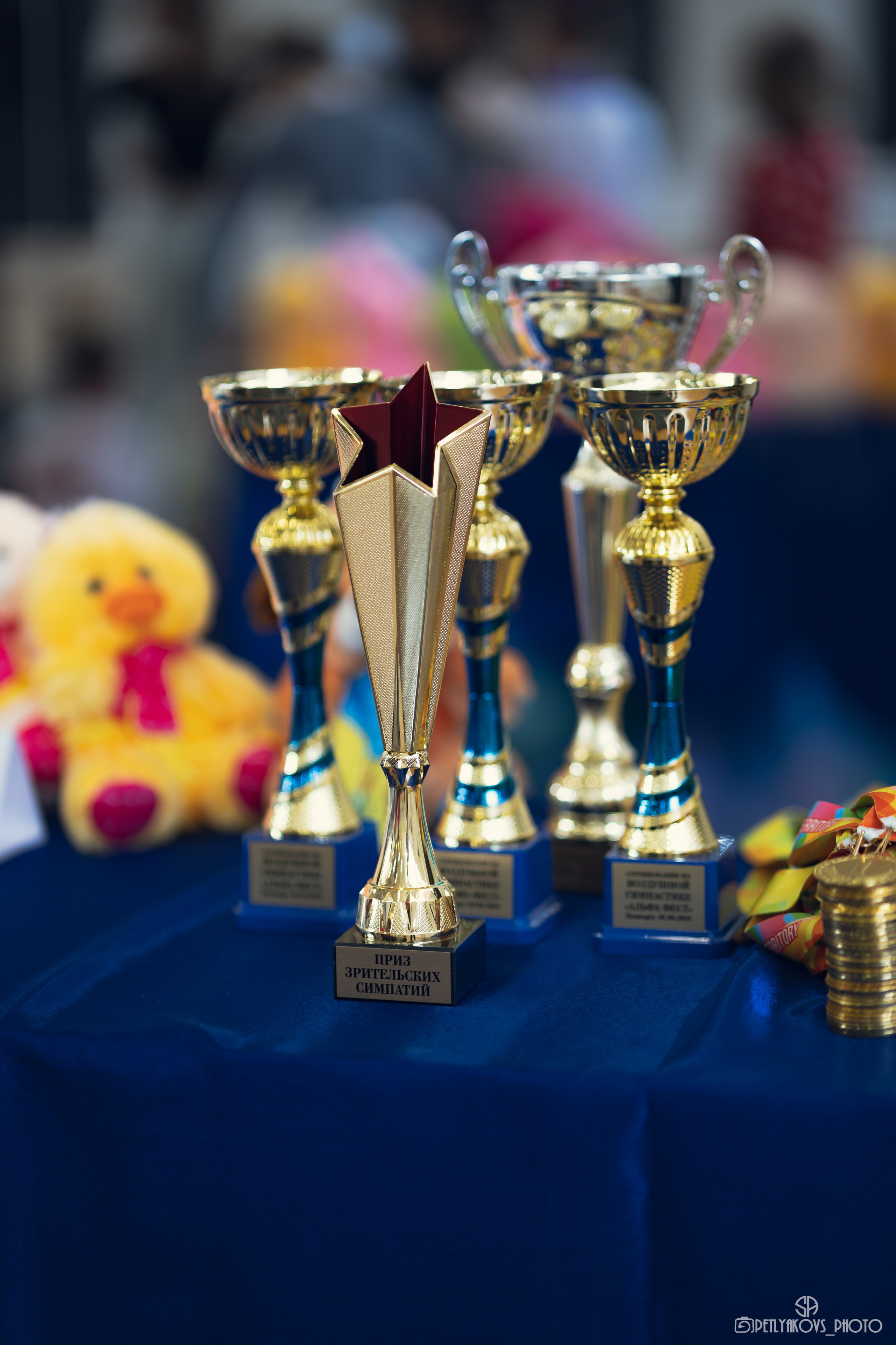 Соревнования по воздушной гимнастике (репортаж). Фотограф, видеограф Пятигорск, Ставрополь, Ессентуки, Petlyakovs_photo