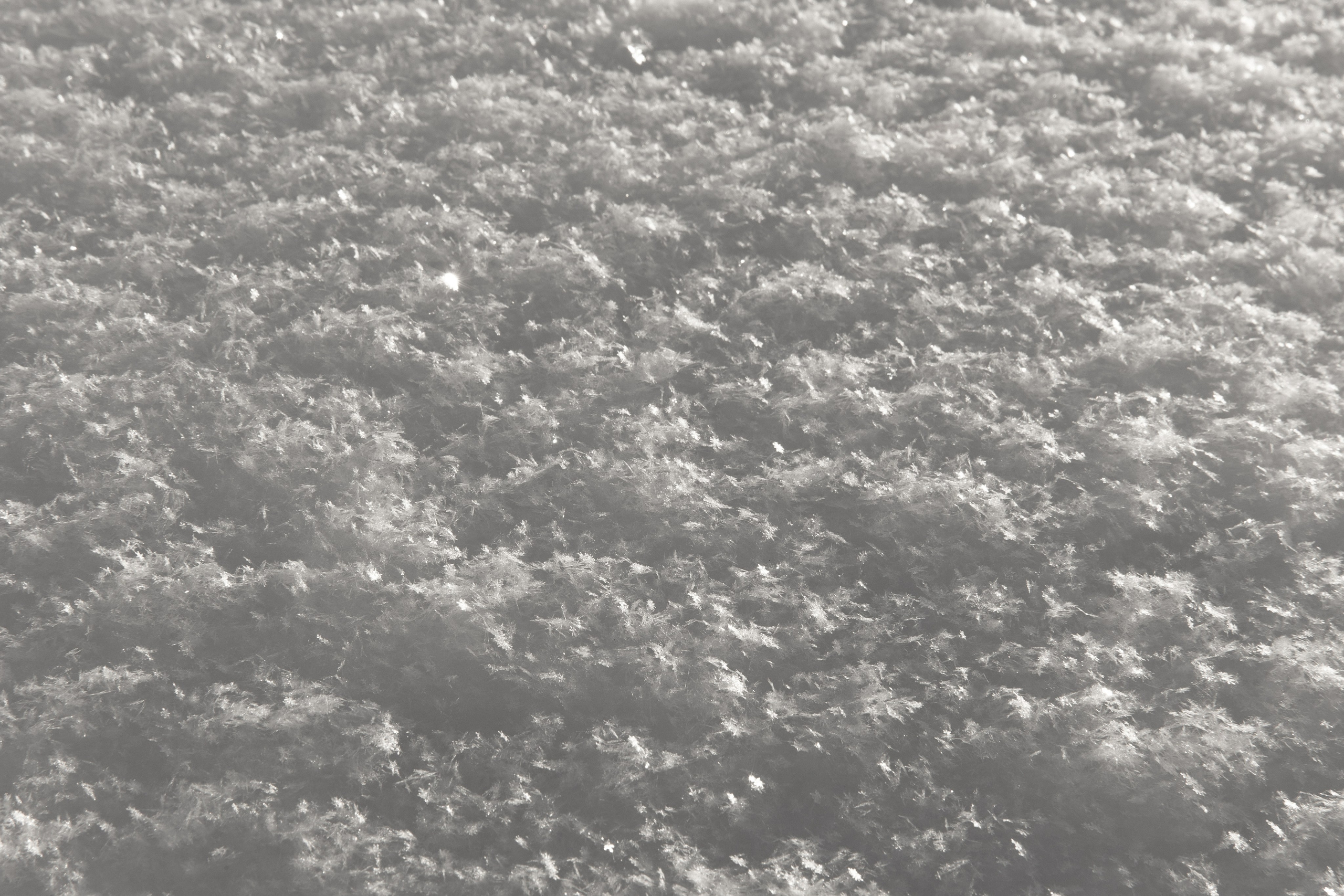 WINTER. Фотограф в Новосибирске и Москве