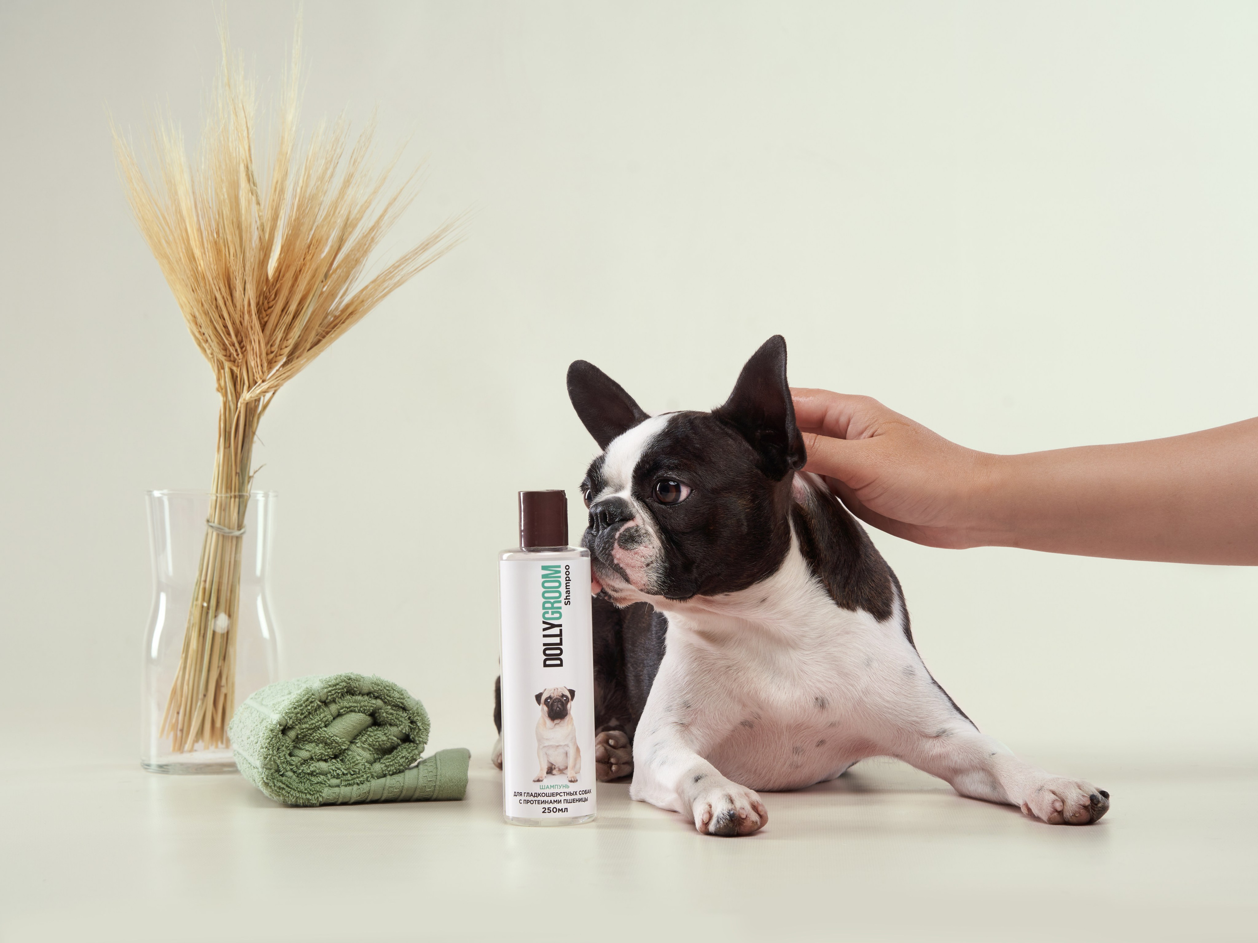 Pet Advertising Photography | Commercial Shoots with Dogs & Cats. Dog photographer Averianova Anna — Art photography of dogs