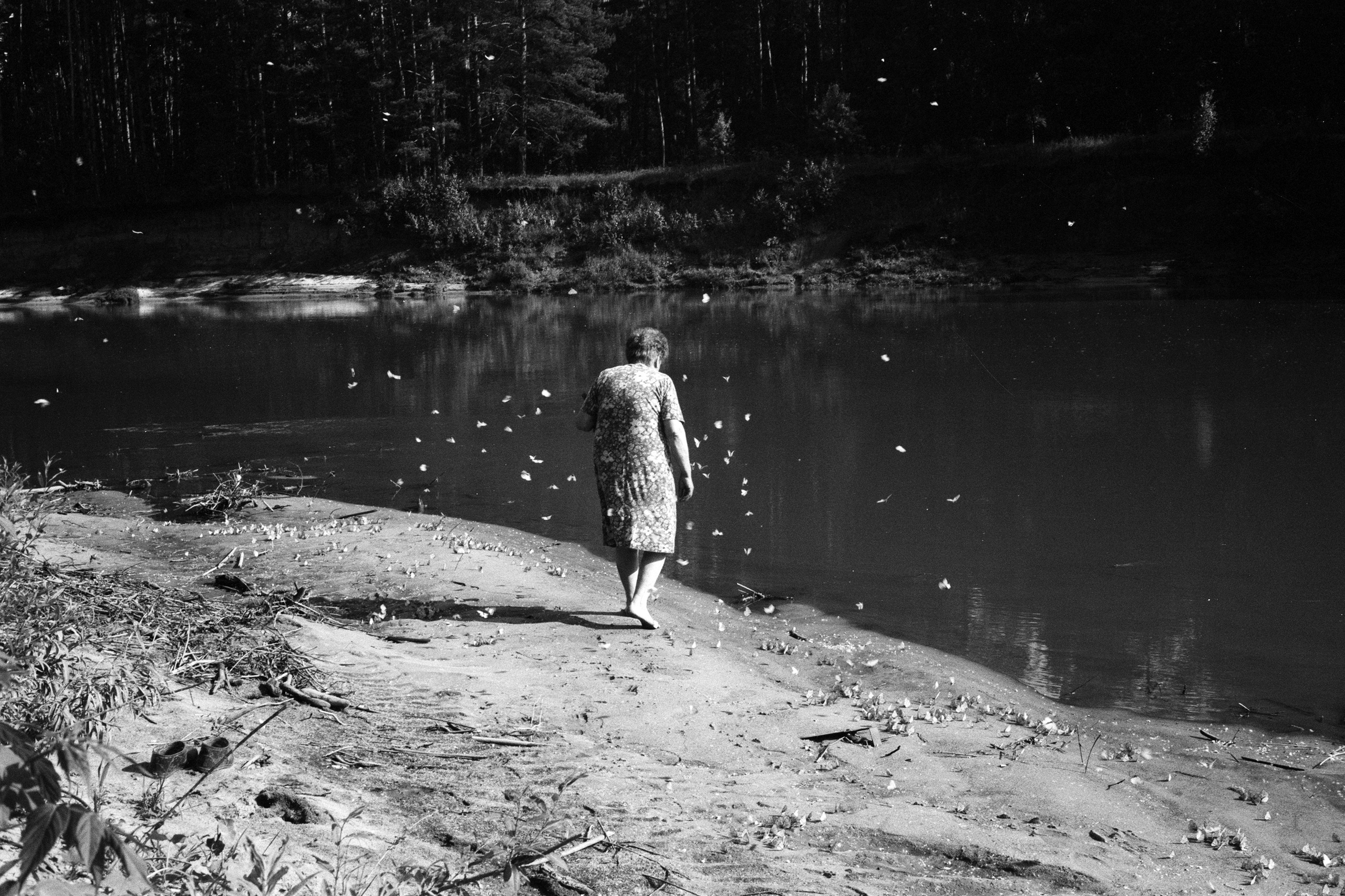 СОН О СЕЛЕ. SUVDO