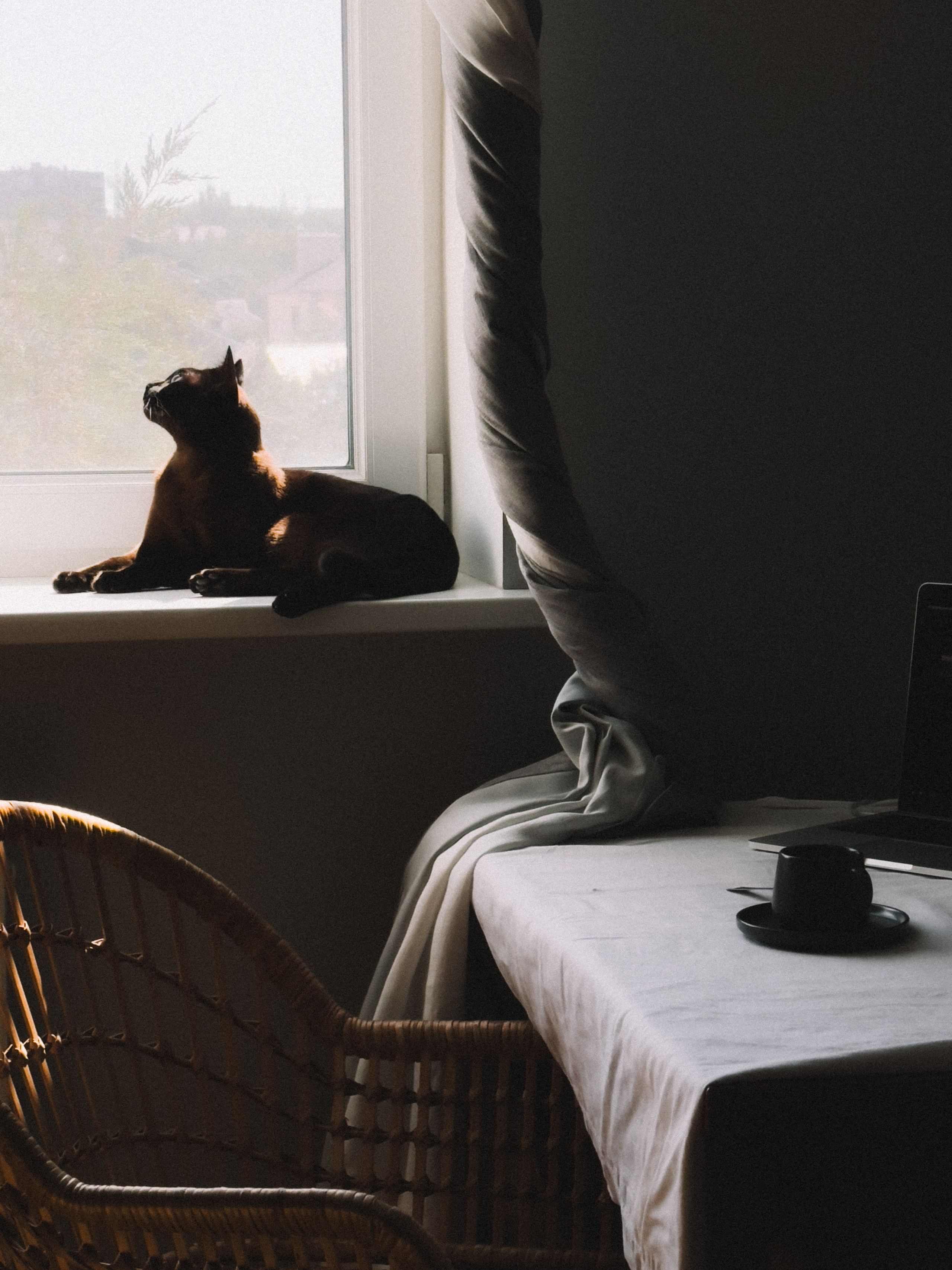 Мастер класс. Фотограф Анастасия Дмитриева