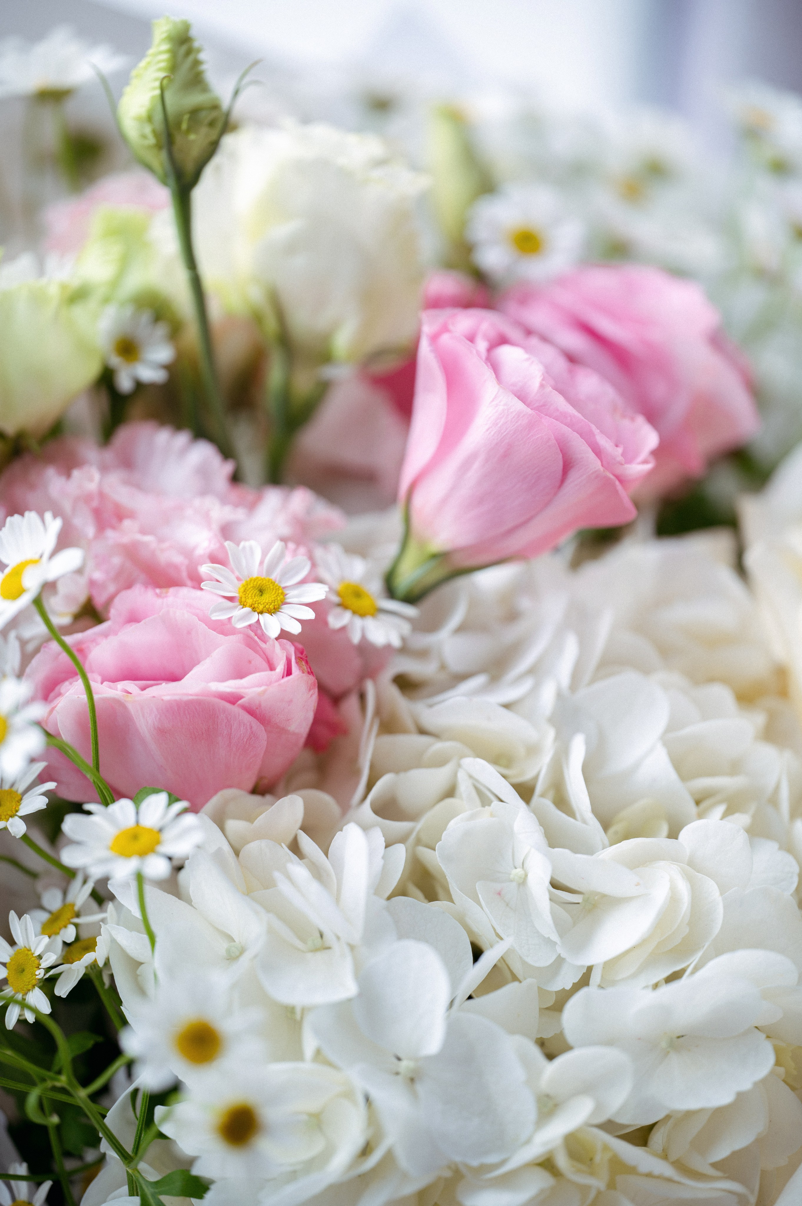 Иван и Антонина, свадебная фотосессия. Фотограф в Алматы — Алексей Коньков | Репортаж, свадьбы, портреты