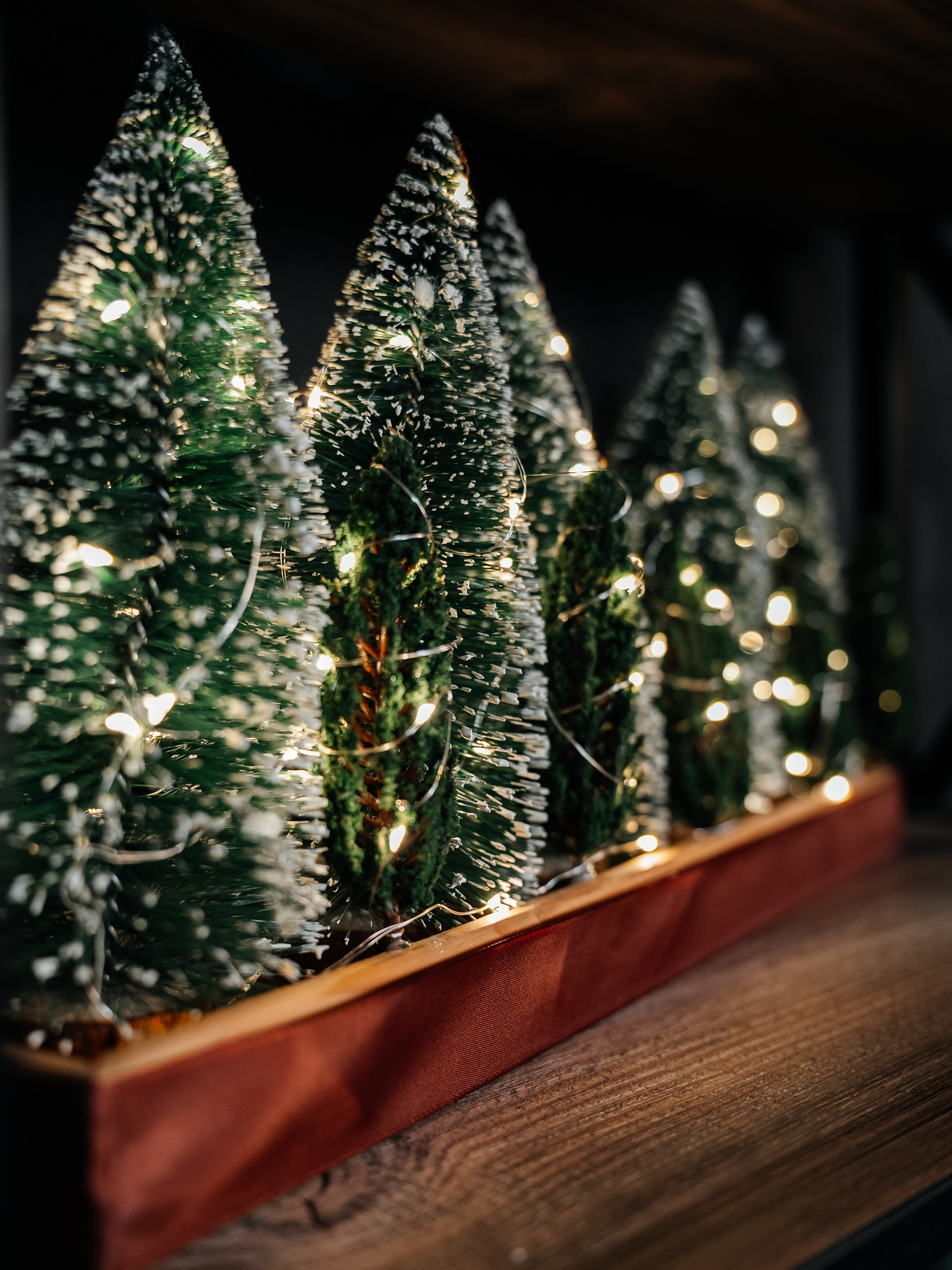 Новый год. Фотограф Сочи Адлер. Солькаева Анастасия