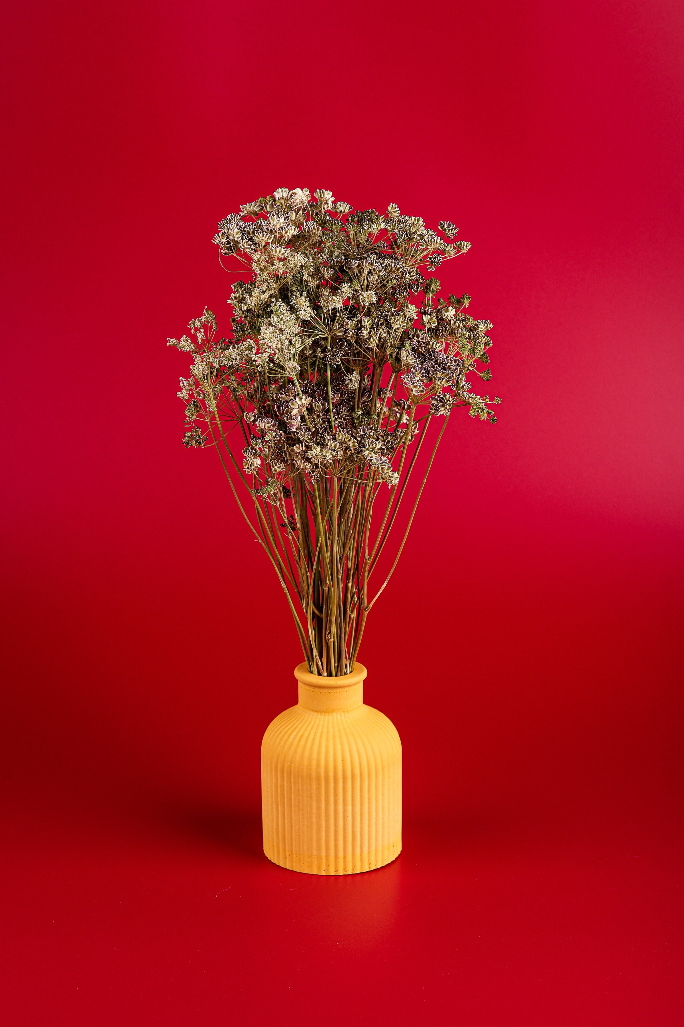 Реквизит и Оборудование