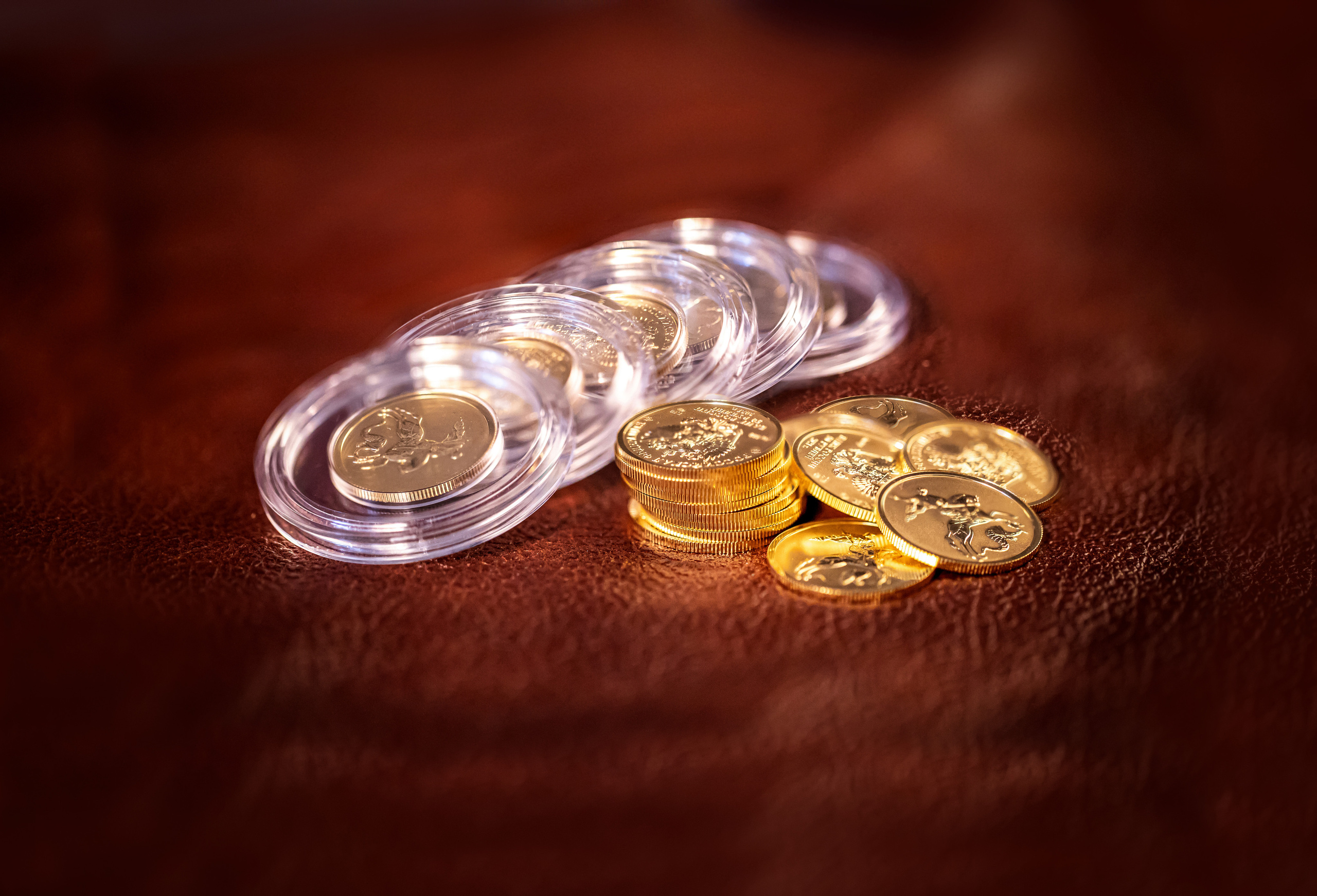 РЕКЛАМНАЯ ФОТОСЪЁМКА. Профессиональный фотограф Светлана Протасова