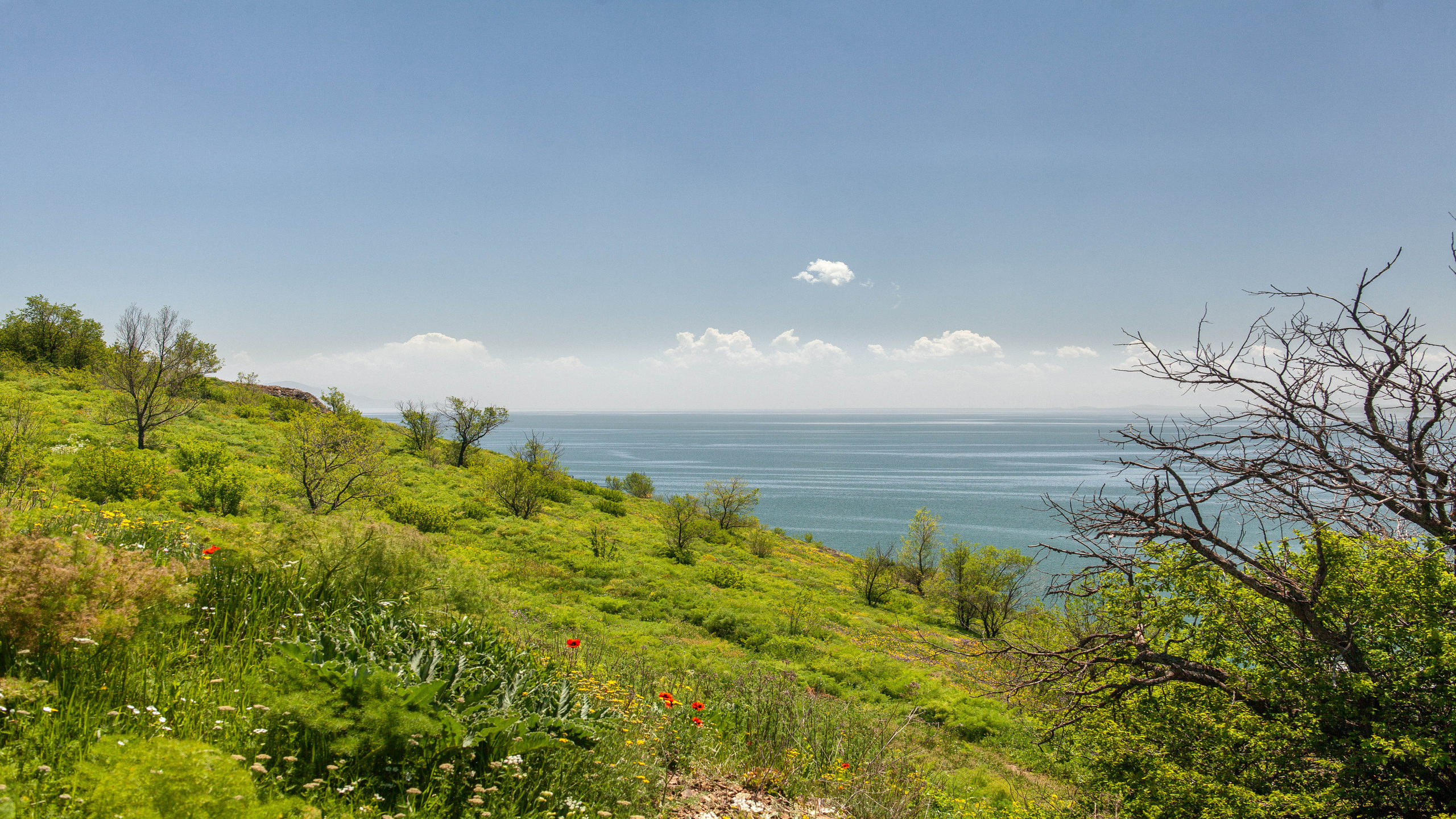 Photographer Vladimir Baksheev