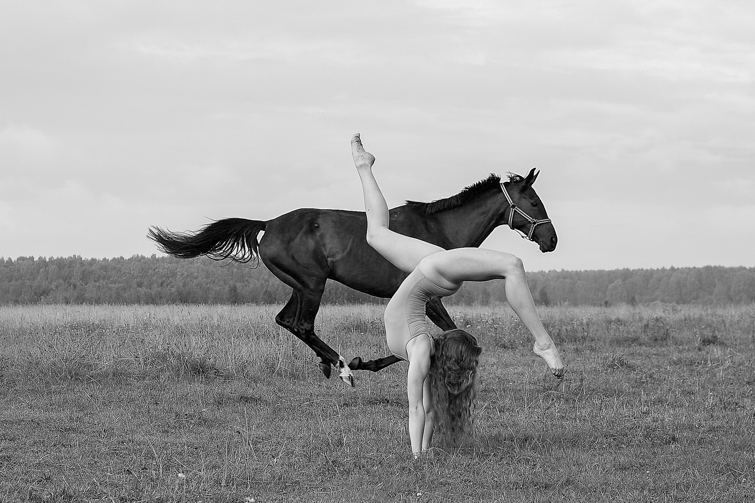 Балет и лошади, фотосессия «ГРАЦИЯ и СИЛА-1» Фотограф Михаил Семенов г. Ярославль