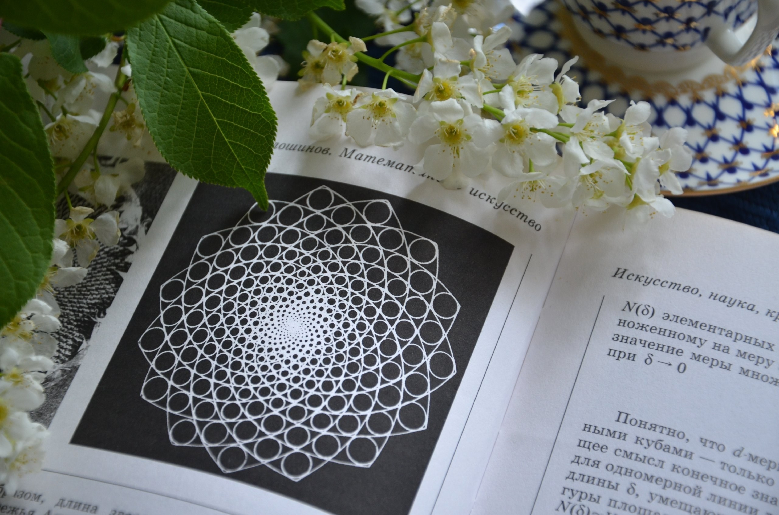 Мастер-классы по керамике. Изостудия «Мы рисуем!» ♥ Южное Бутово, Москва