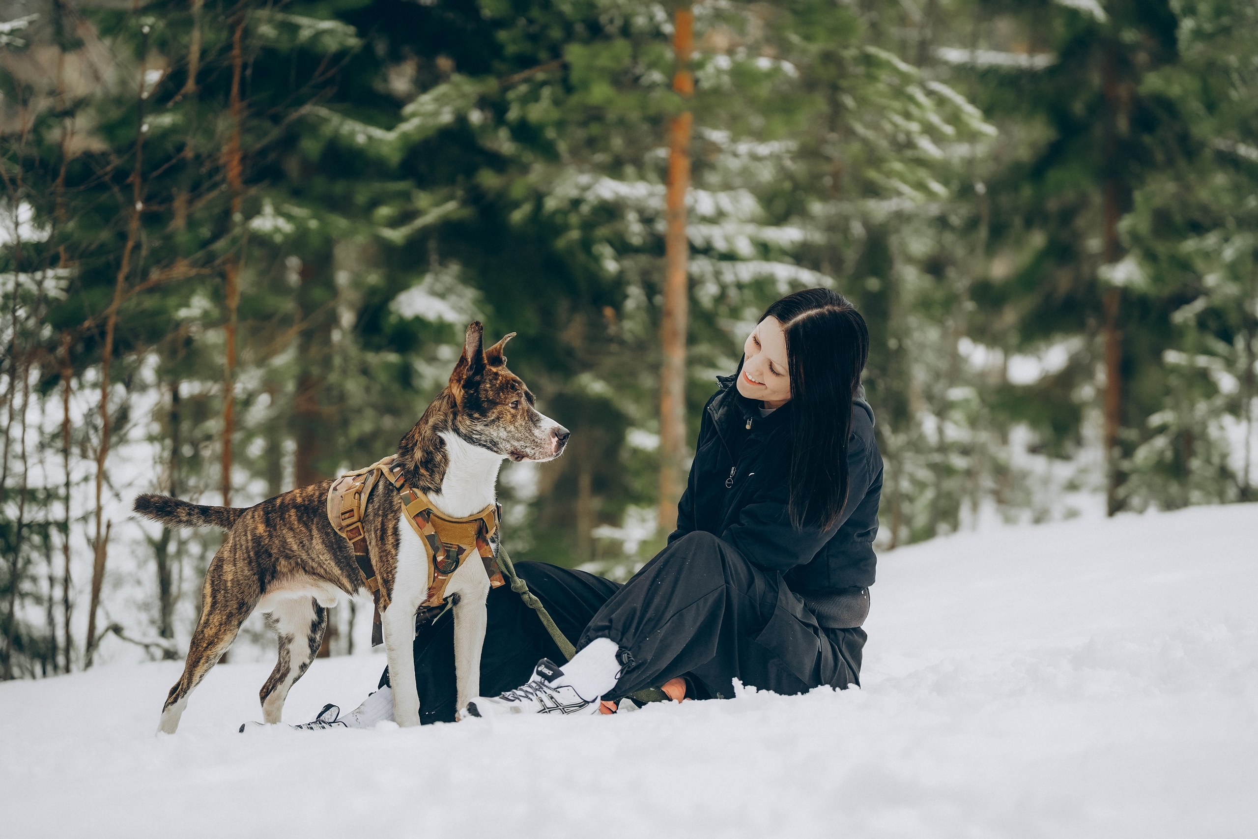 Гарм и Юна. Фотограф анималист в Спб недорого Олеся Майорова