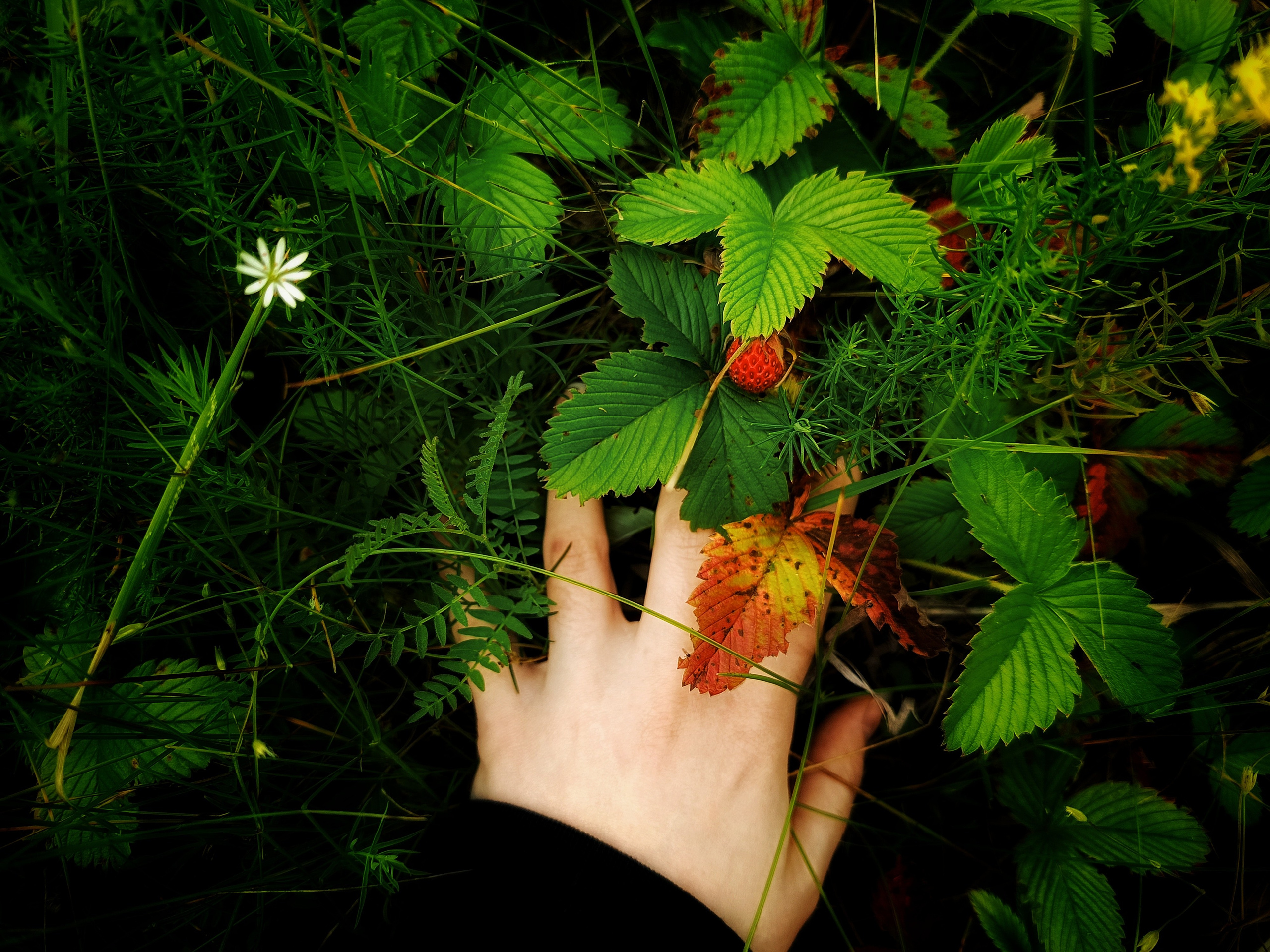 Исчезающие. Фотограф в Самаре Варвара Макарова
