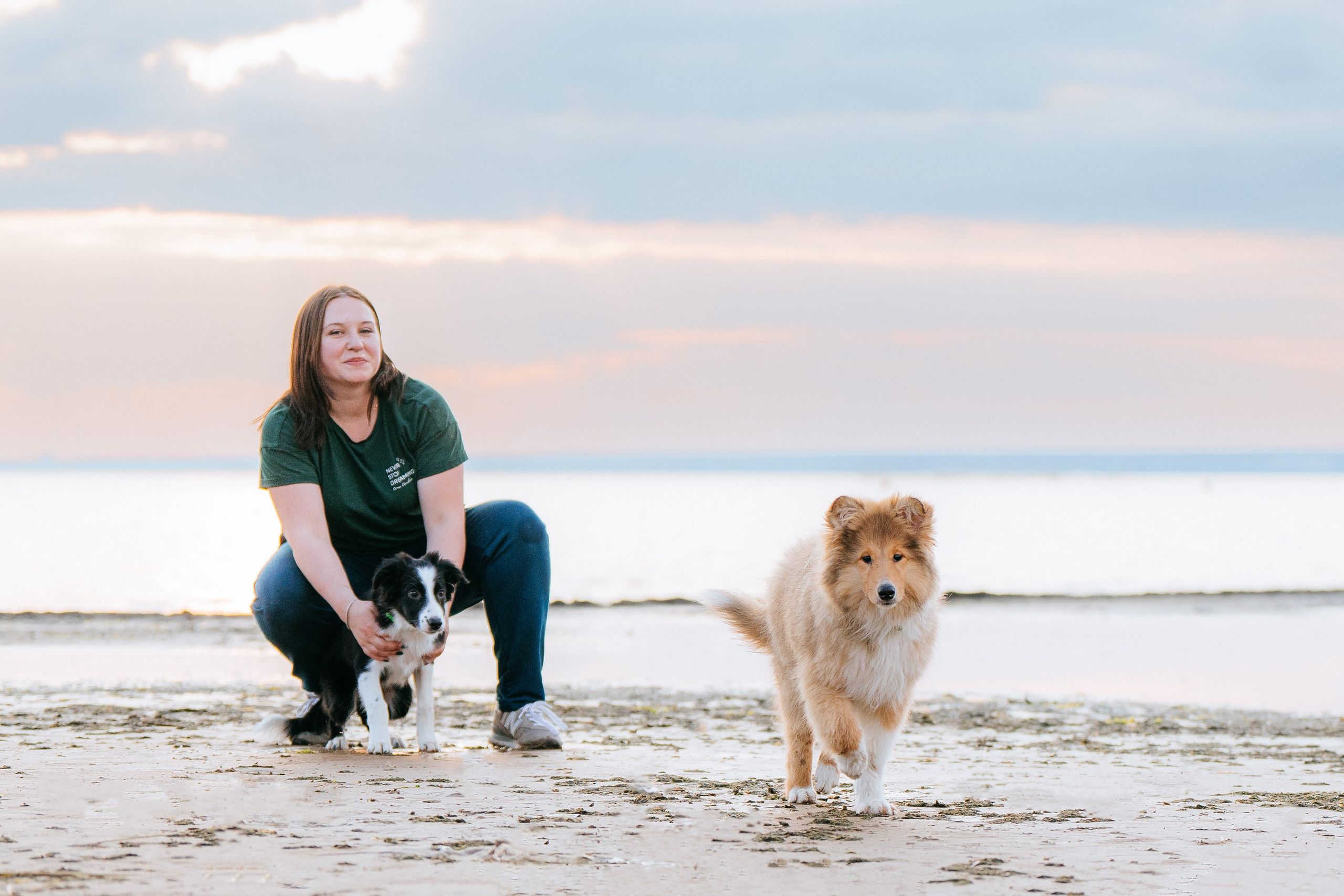 Фотосессия со щенками колли. Фотограф анималист в Спб недорого Олеся Майорова