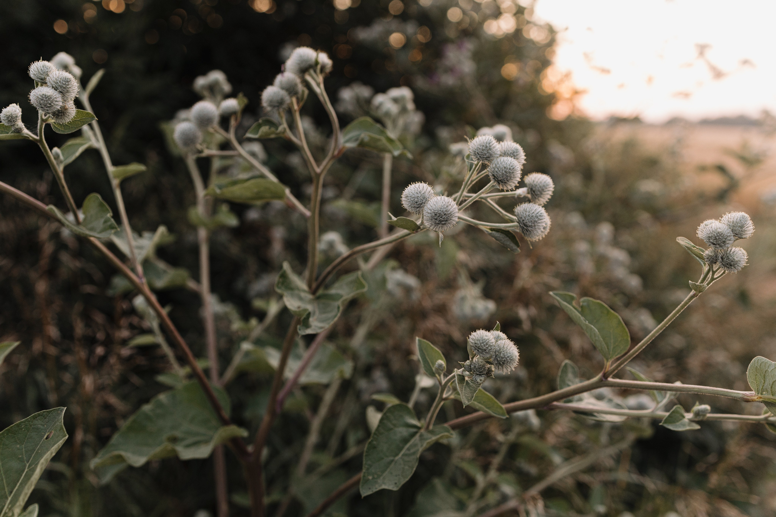 За городом. Про любовь