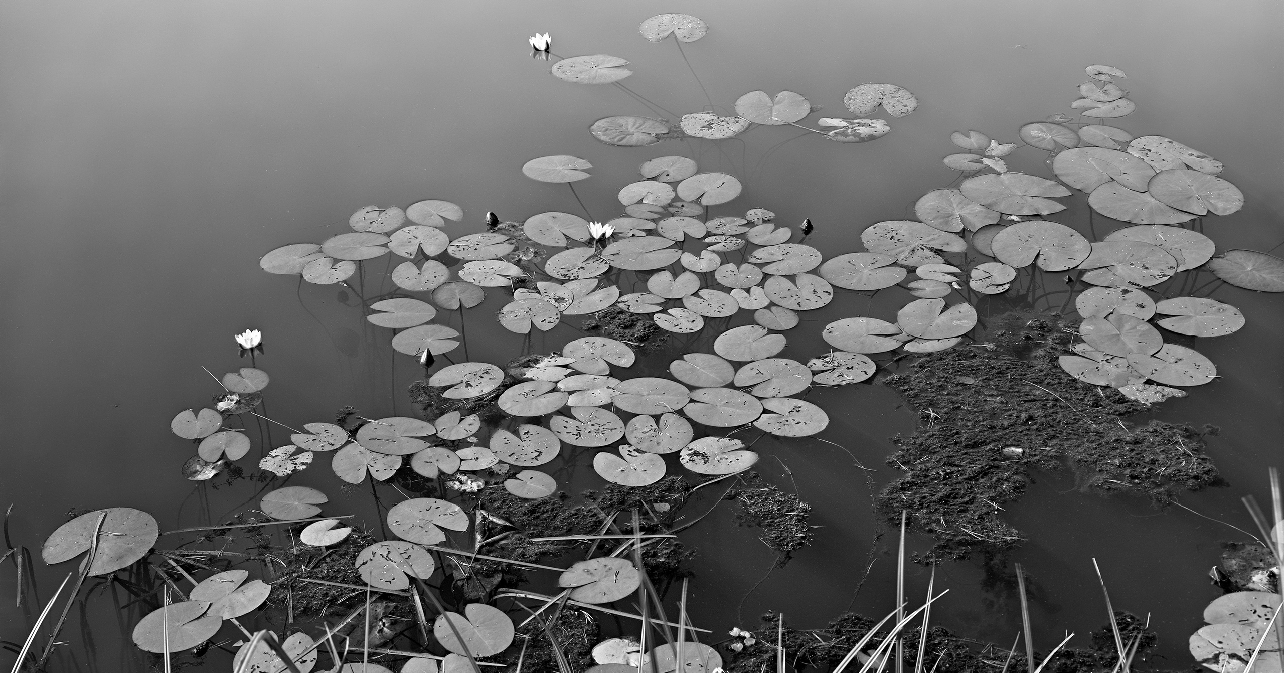 Sergey Kondriuk art-photographer | artist