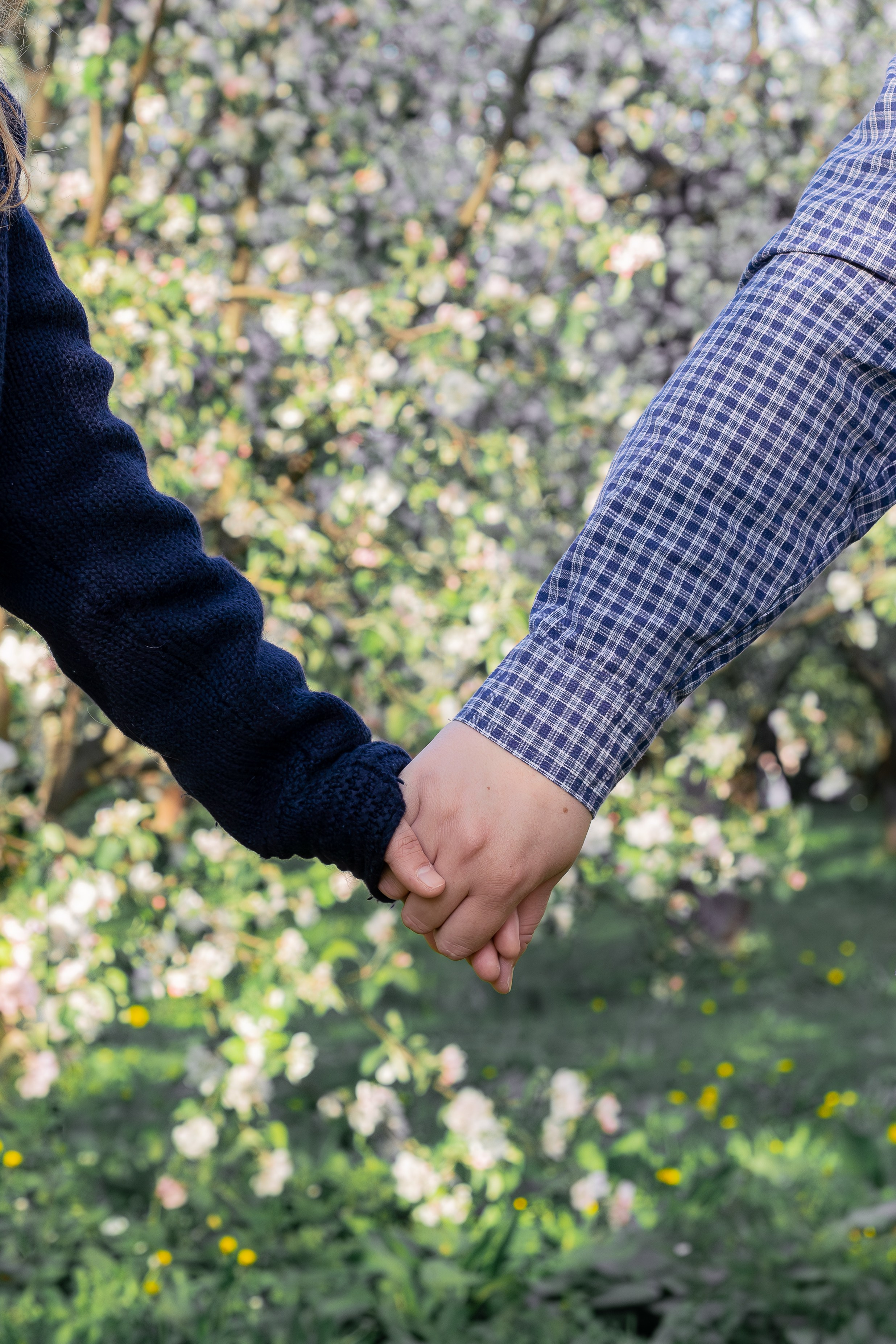 Семейный и свадебный фотограф в Москве и Домодедово Анна Авилочкина