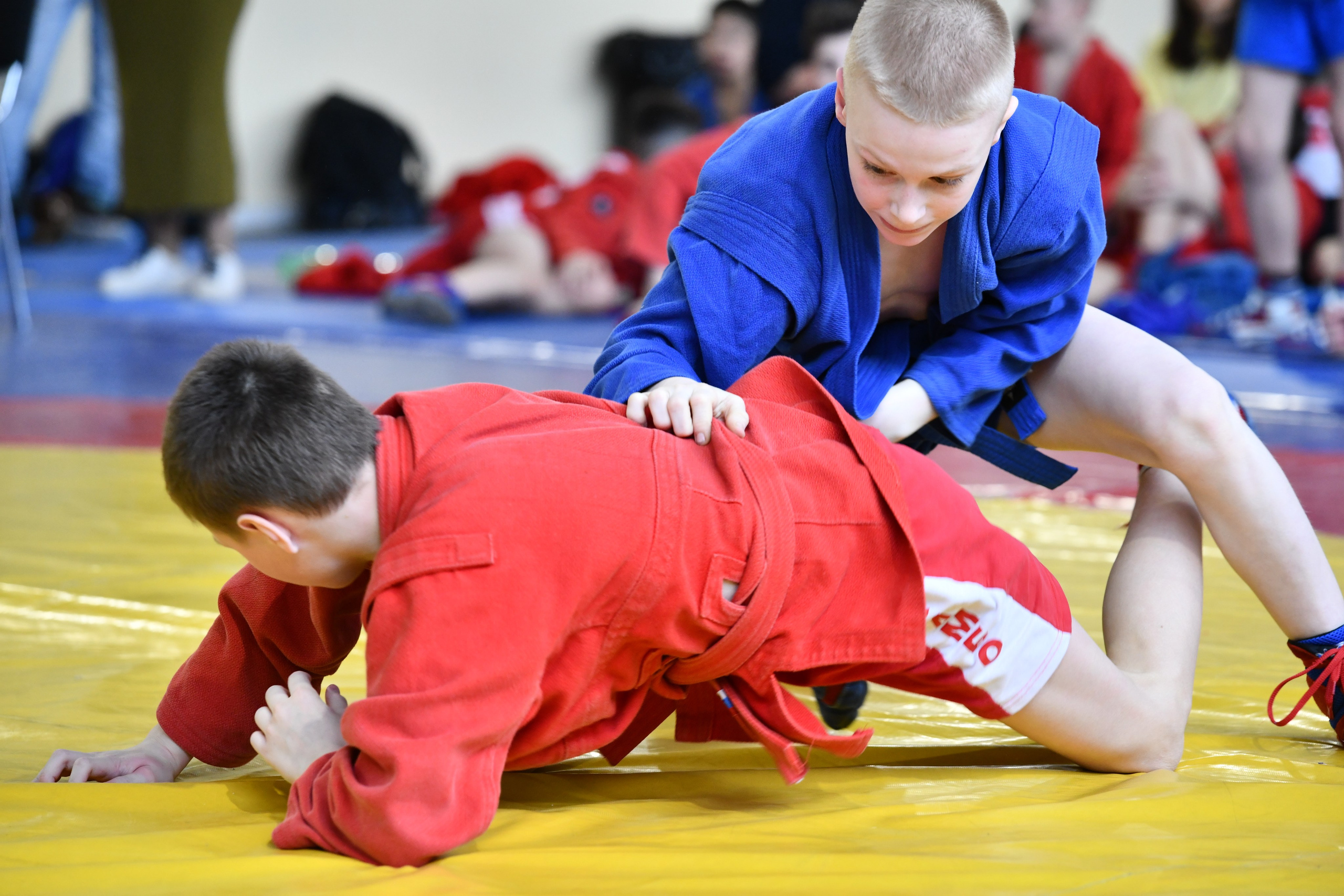 Самбо. Кубок города Воинской славы Колпино. Фото детских спортивных мероприятий и всякое интересное через объектив