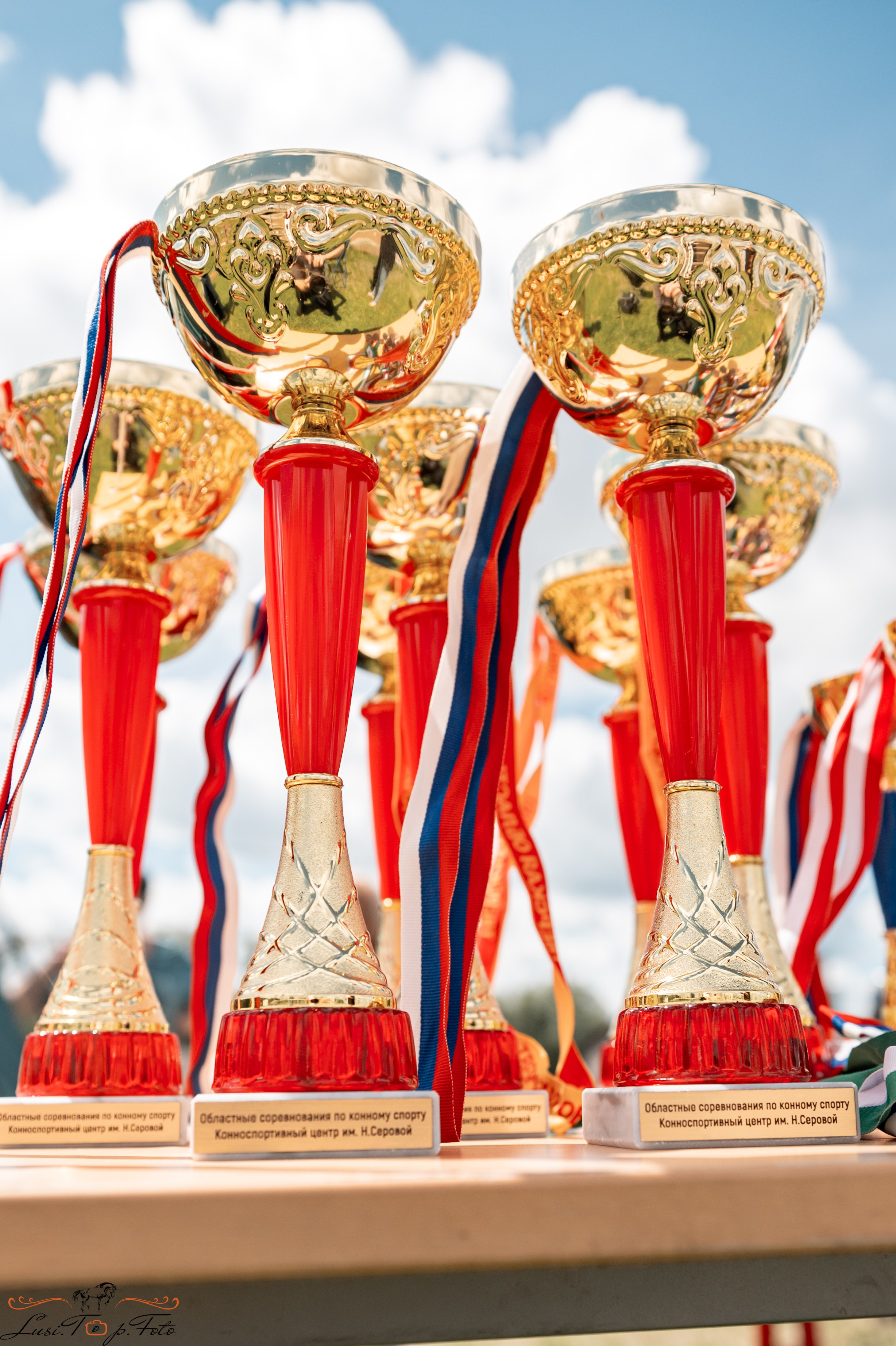 Областные соревнования по выездке. Тверь. Конный и фотограф с животными в Твери Топталова Люся