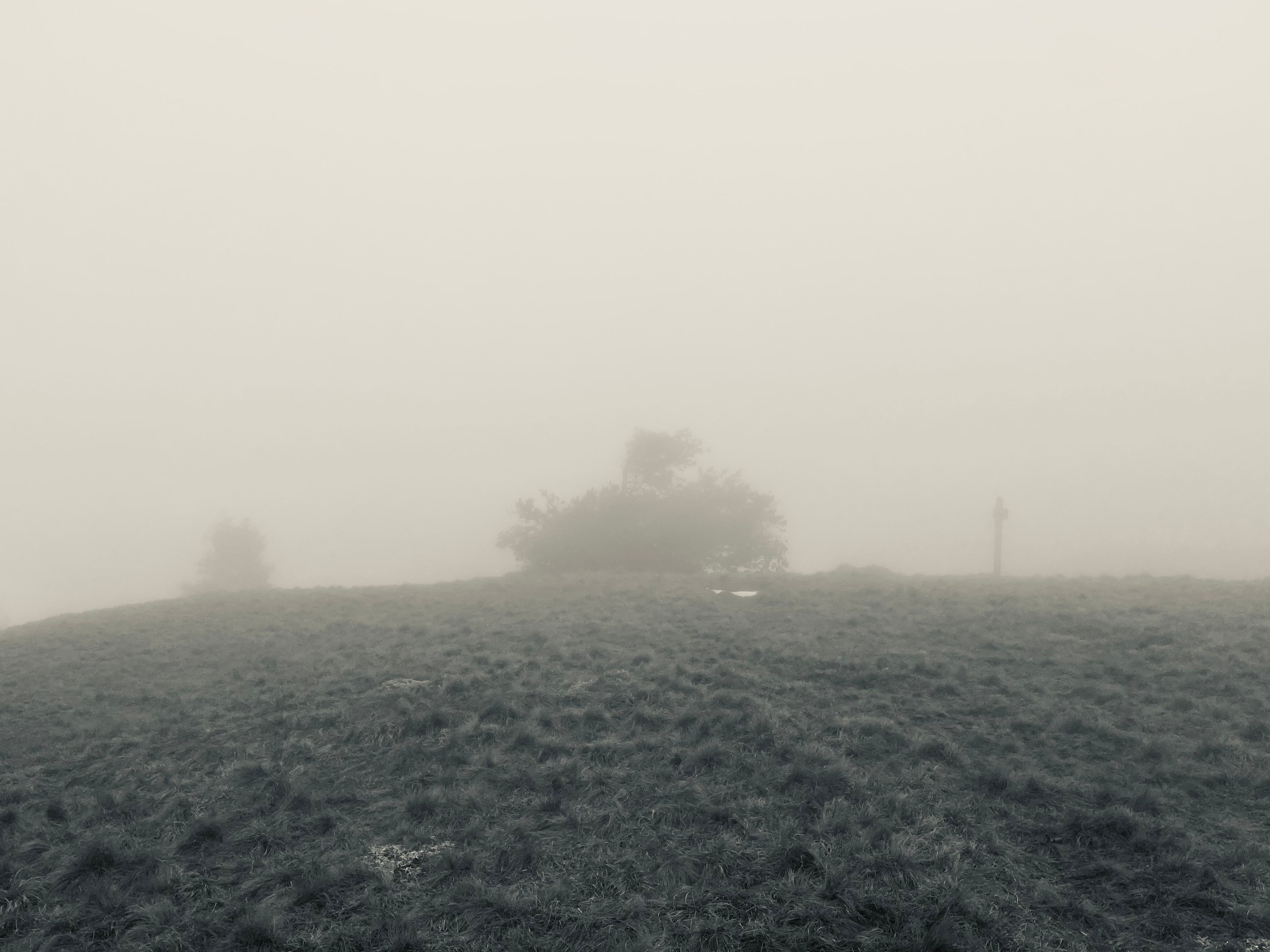 Блог: съемки, путешествия. Визуальный художник Лиана Даренская, Москва