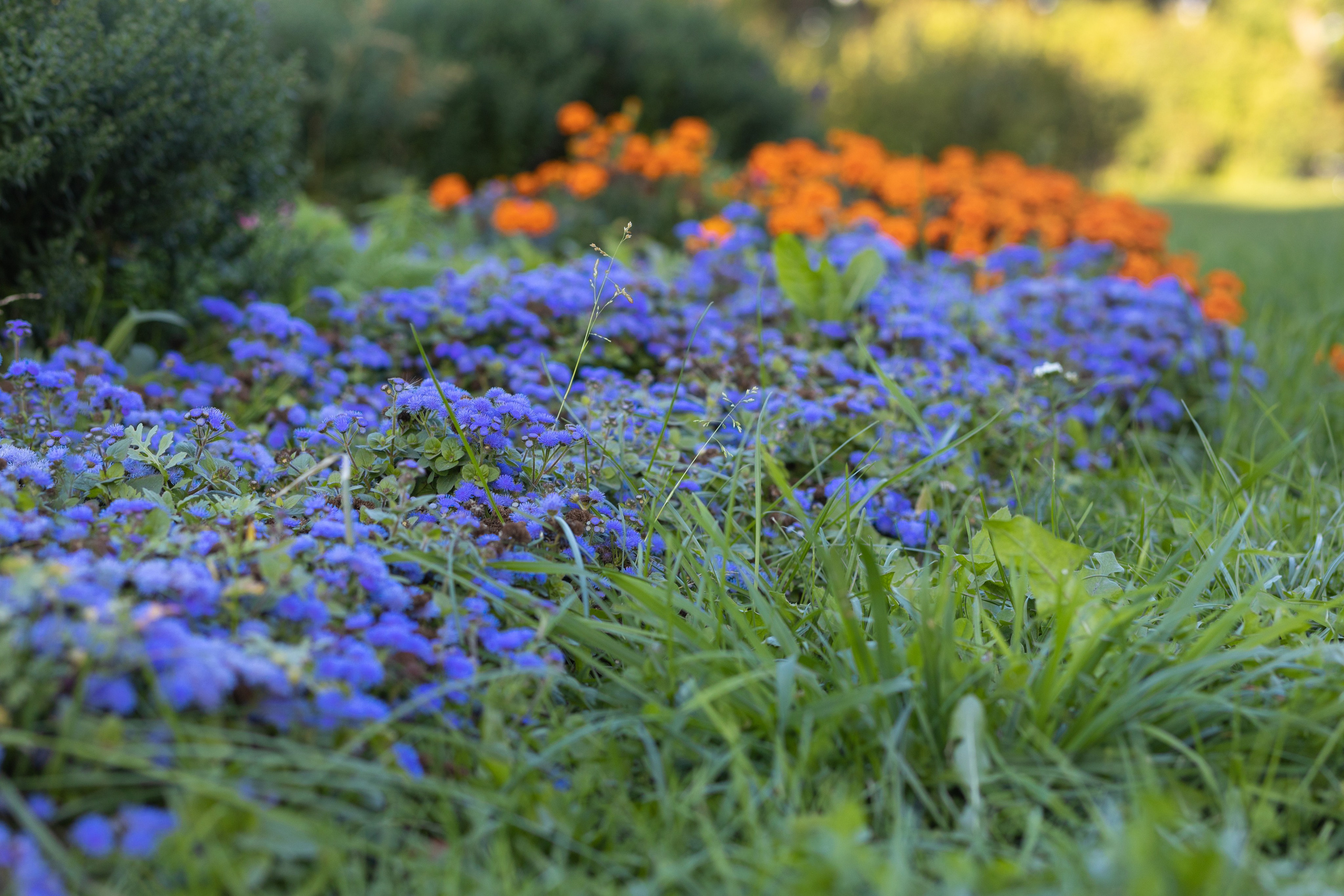 ФОТОСЕССИЯ В ПЕТЕРГОФЕ. ГДЕ СНИМАТЬ В ПЕТЕРГОФЕ