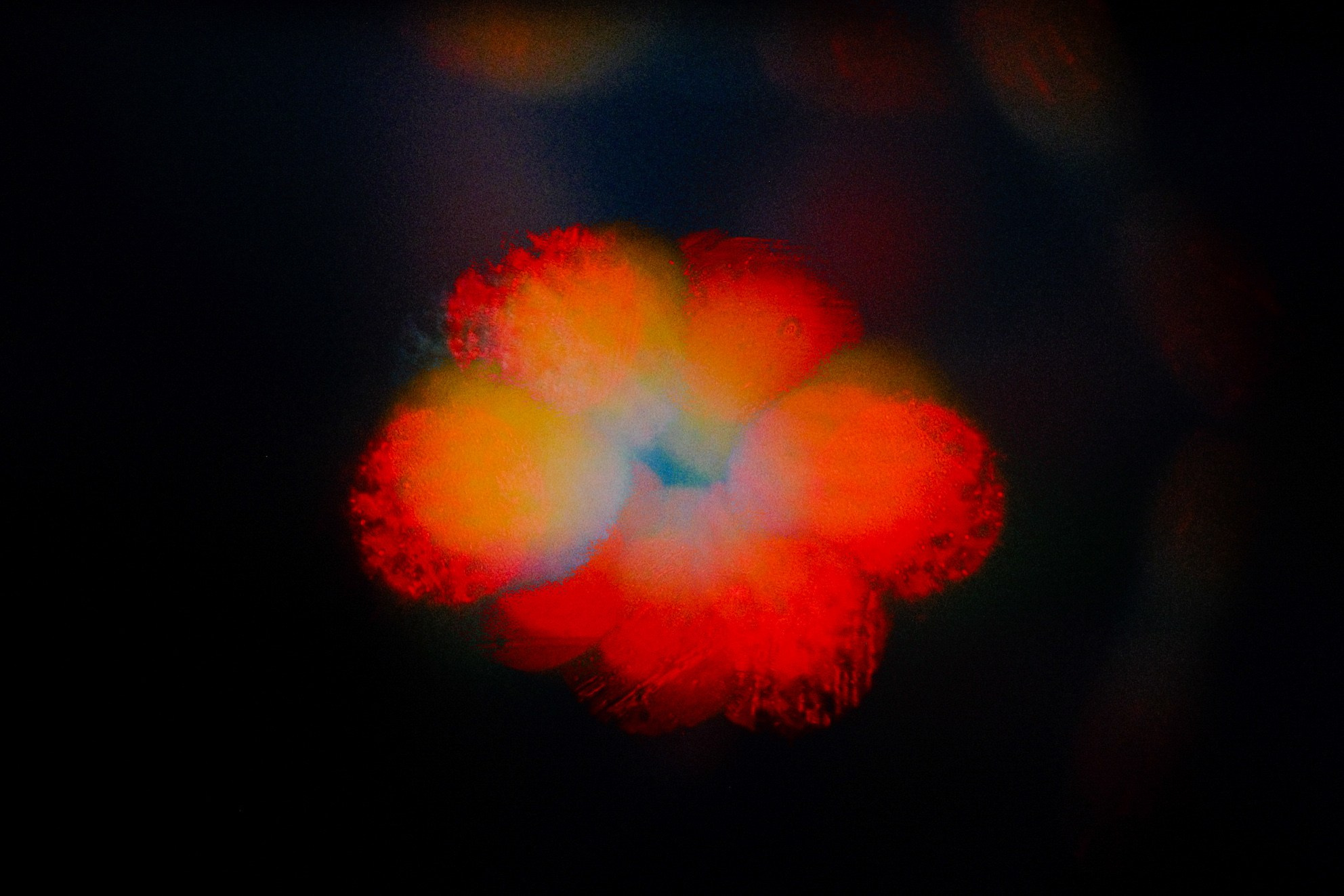 Mountain drive screensavers. Фотограф и оператор с цветным светом в Москве | Лиля Кичигина