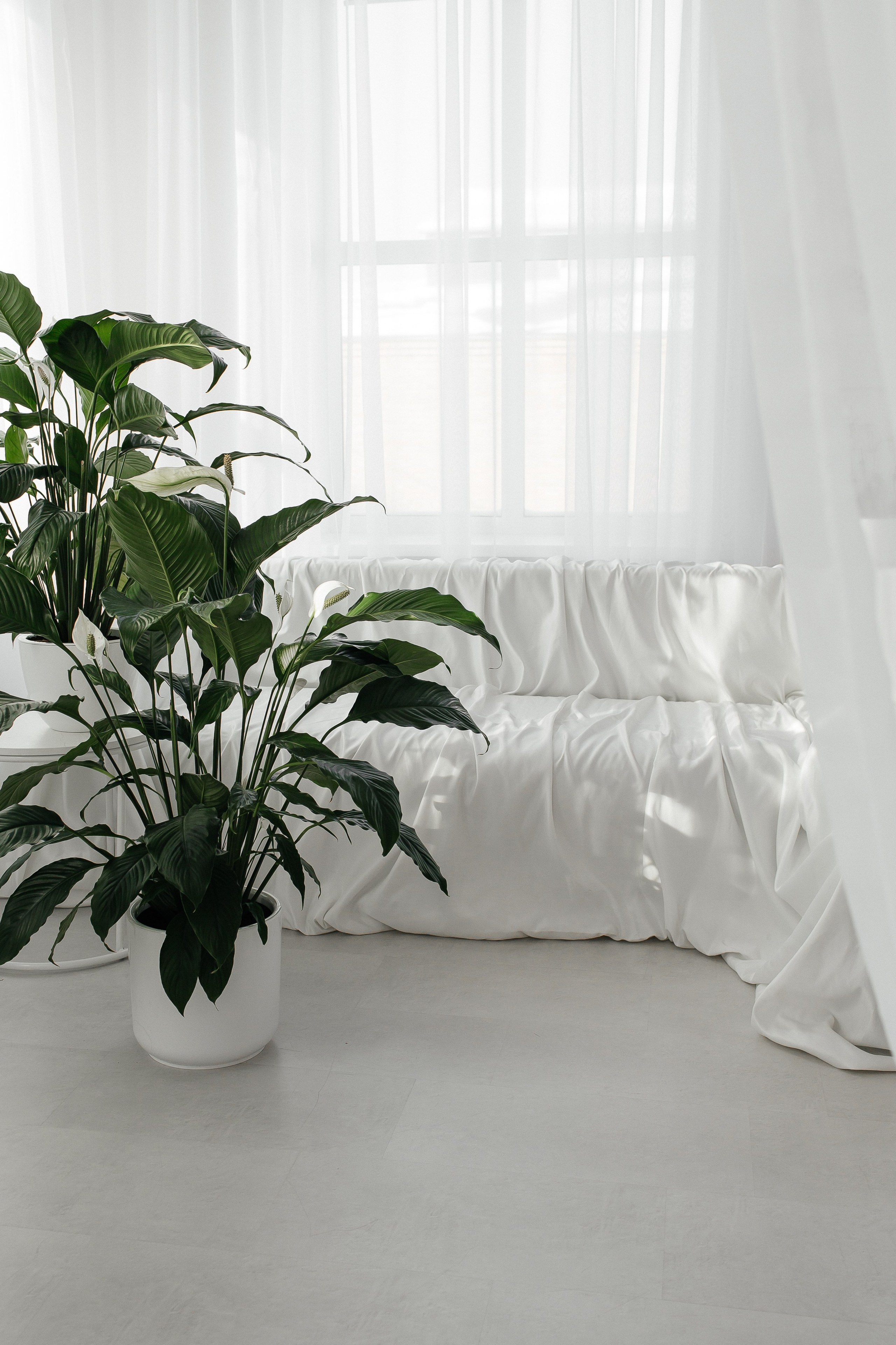 Интерьер. Фотостудия «Алиса» Тюмень