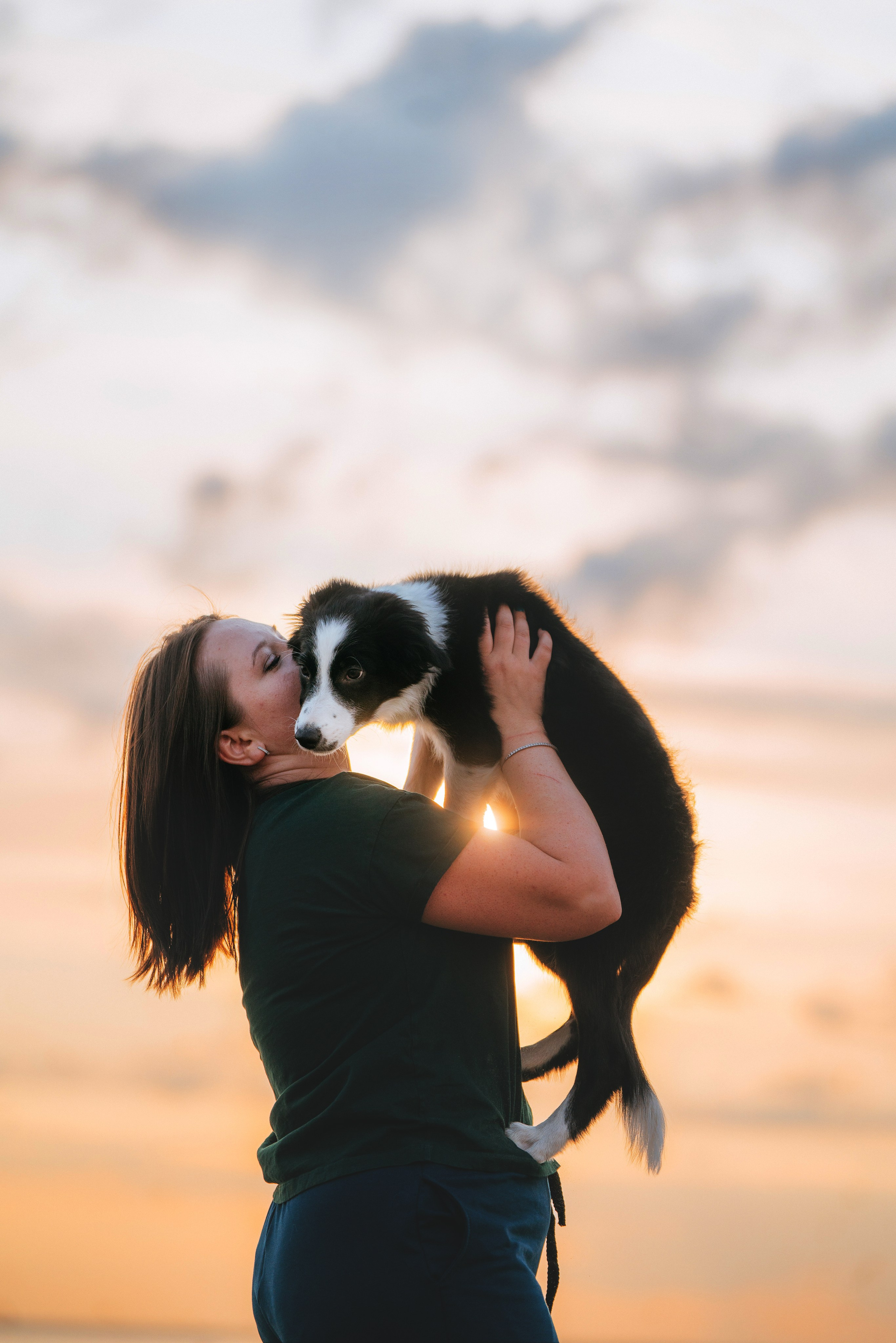 Фотосессия со щенками колли. Фотограф анималист в Спб недорого Олеся Майорова